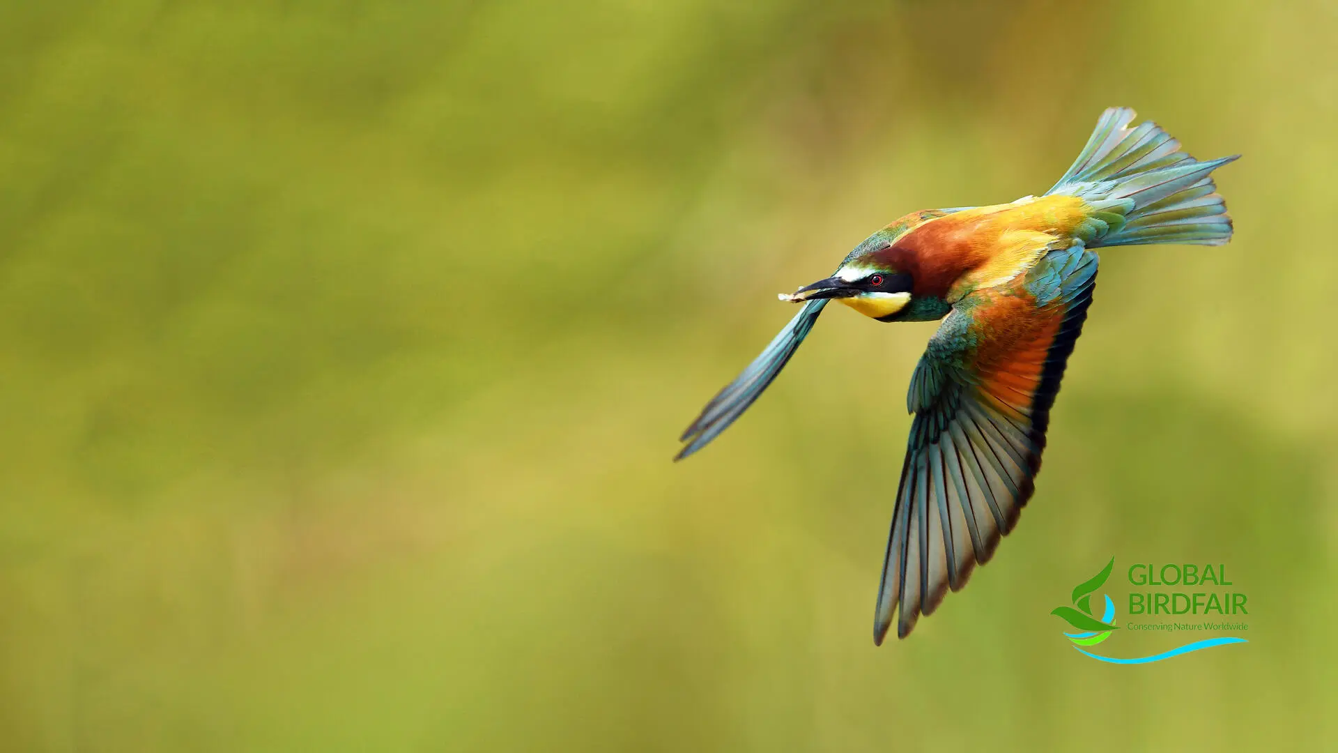 meet-us-live-at-birdfair-leica-sport-optics-stand-f4-in-the-falcon-marquee_hero_3840x2160_0.jpg