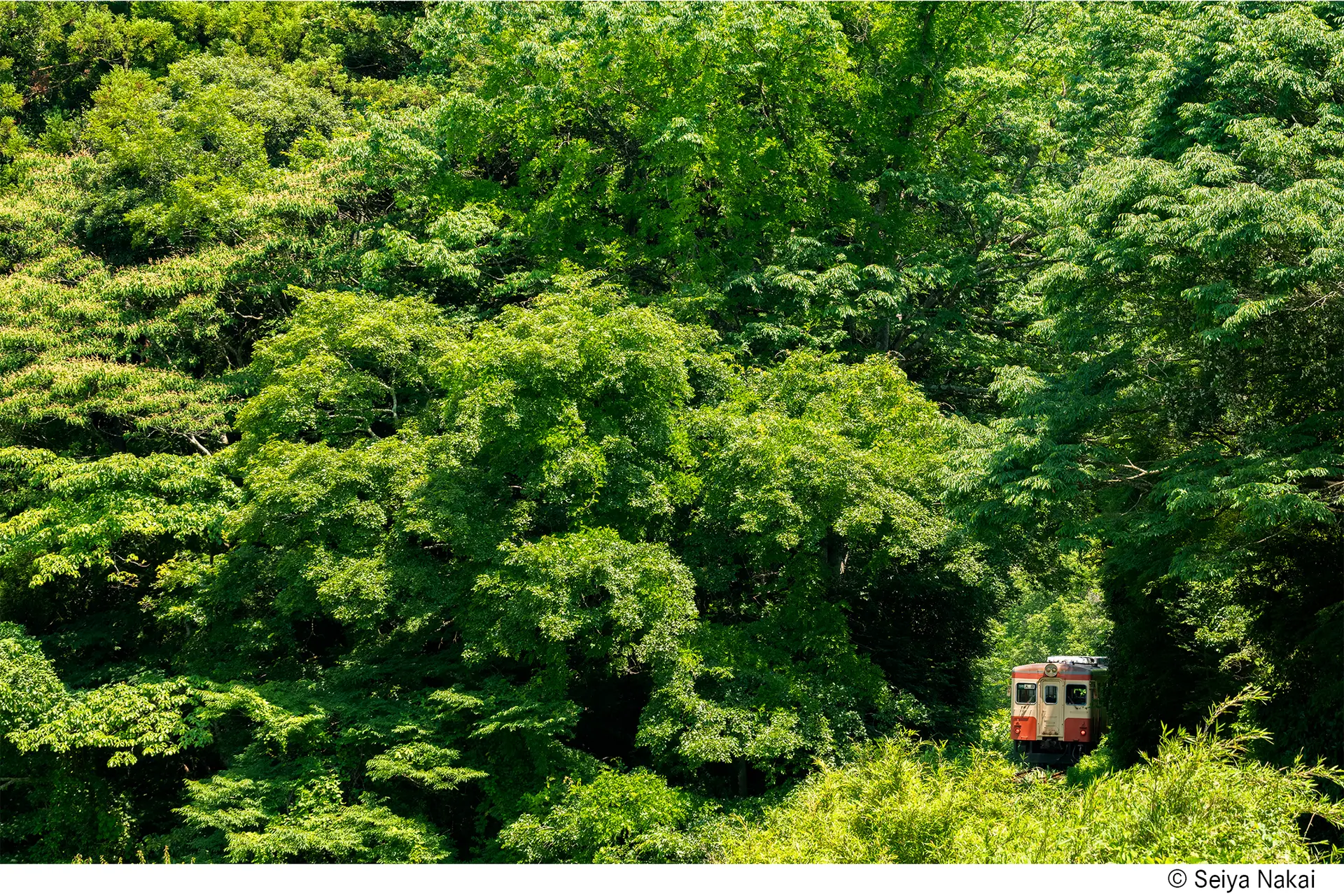Seiya Nakai Photo Exhibition Held in Kyoto