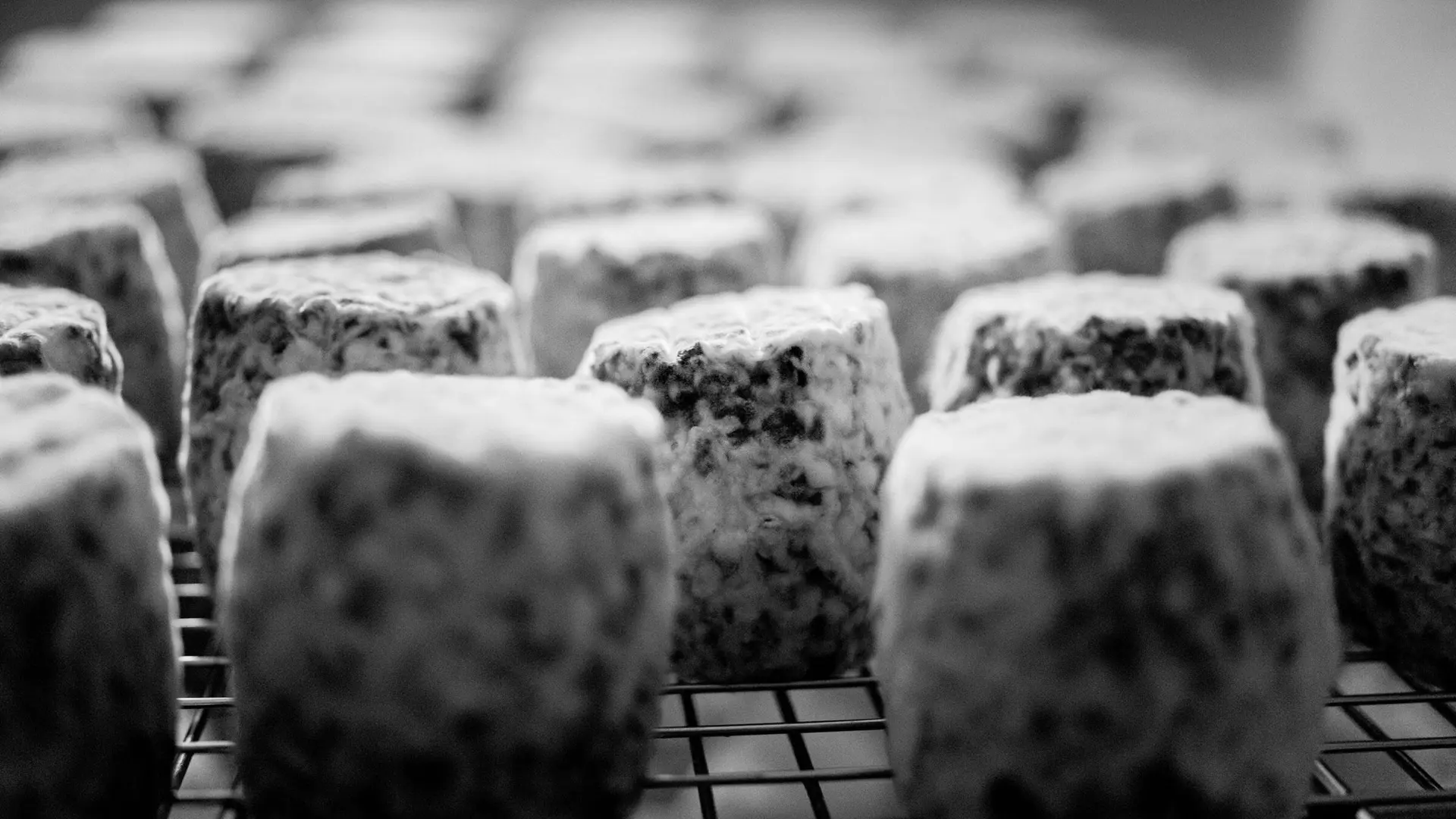 Close-up of a ripening blue cheese on a grid.