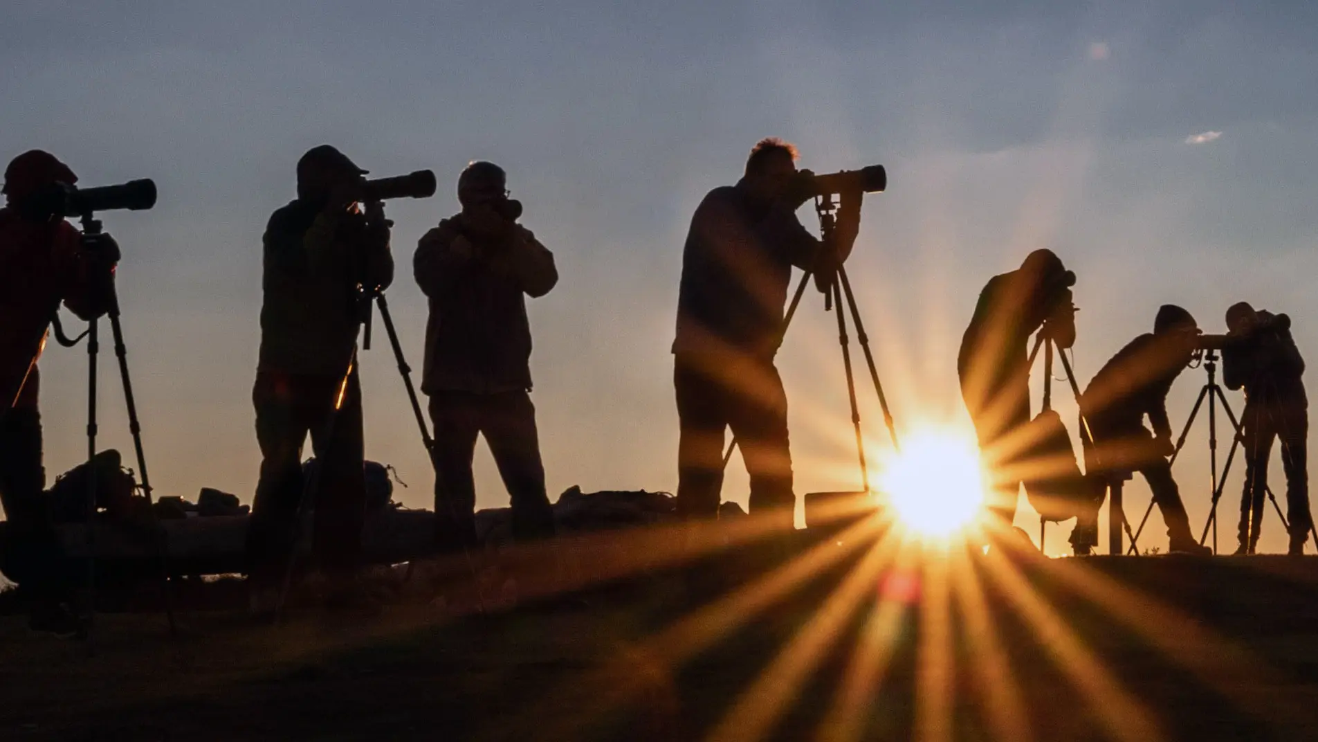 Photographers lined up captured against the sunlight