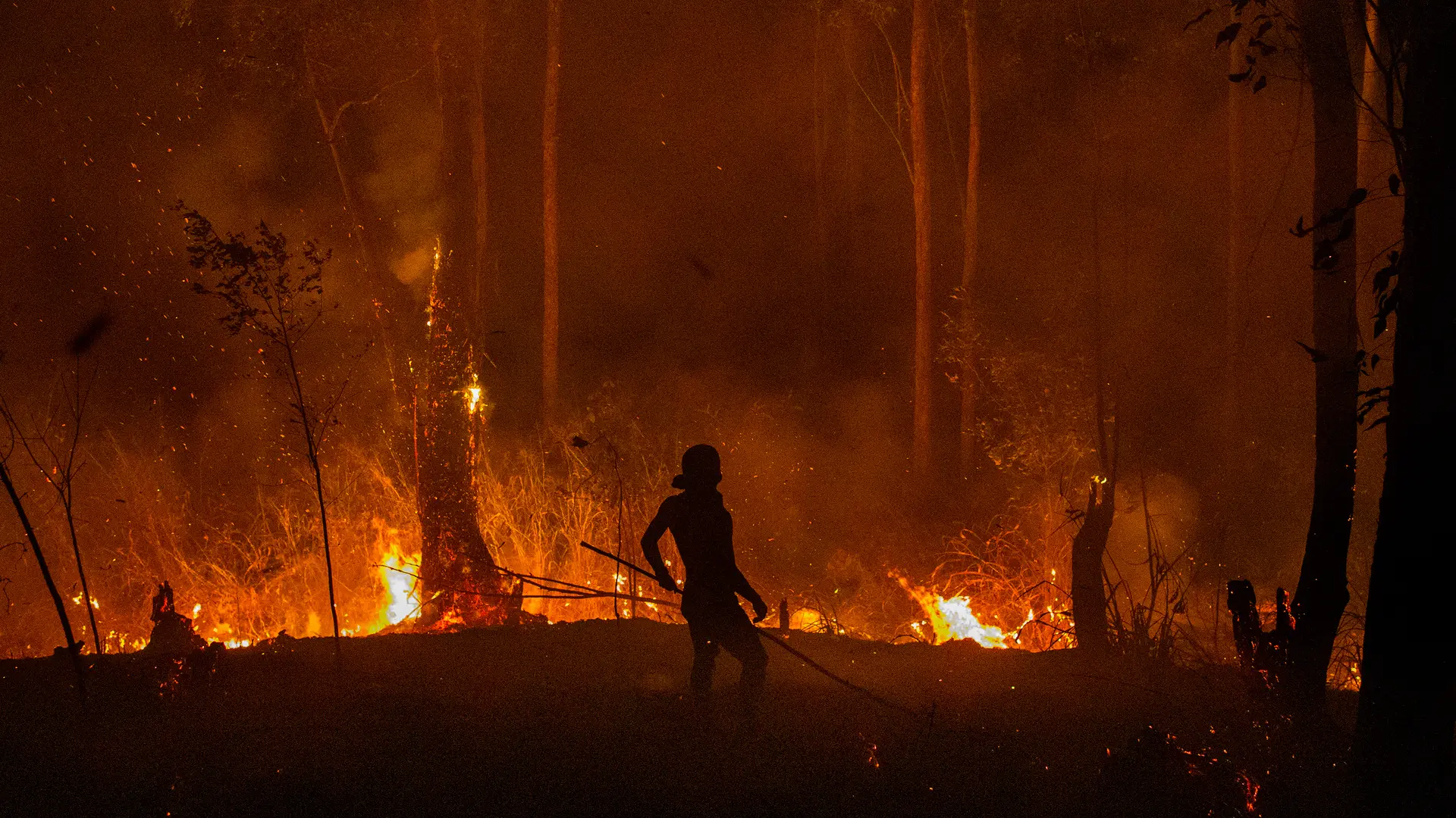 A firefighter stands in front of a fire in a dense forest at night.