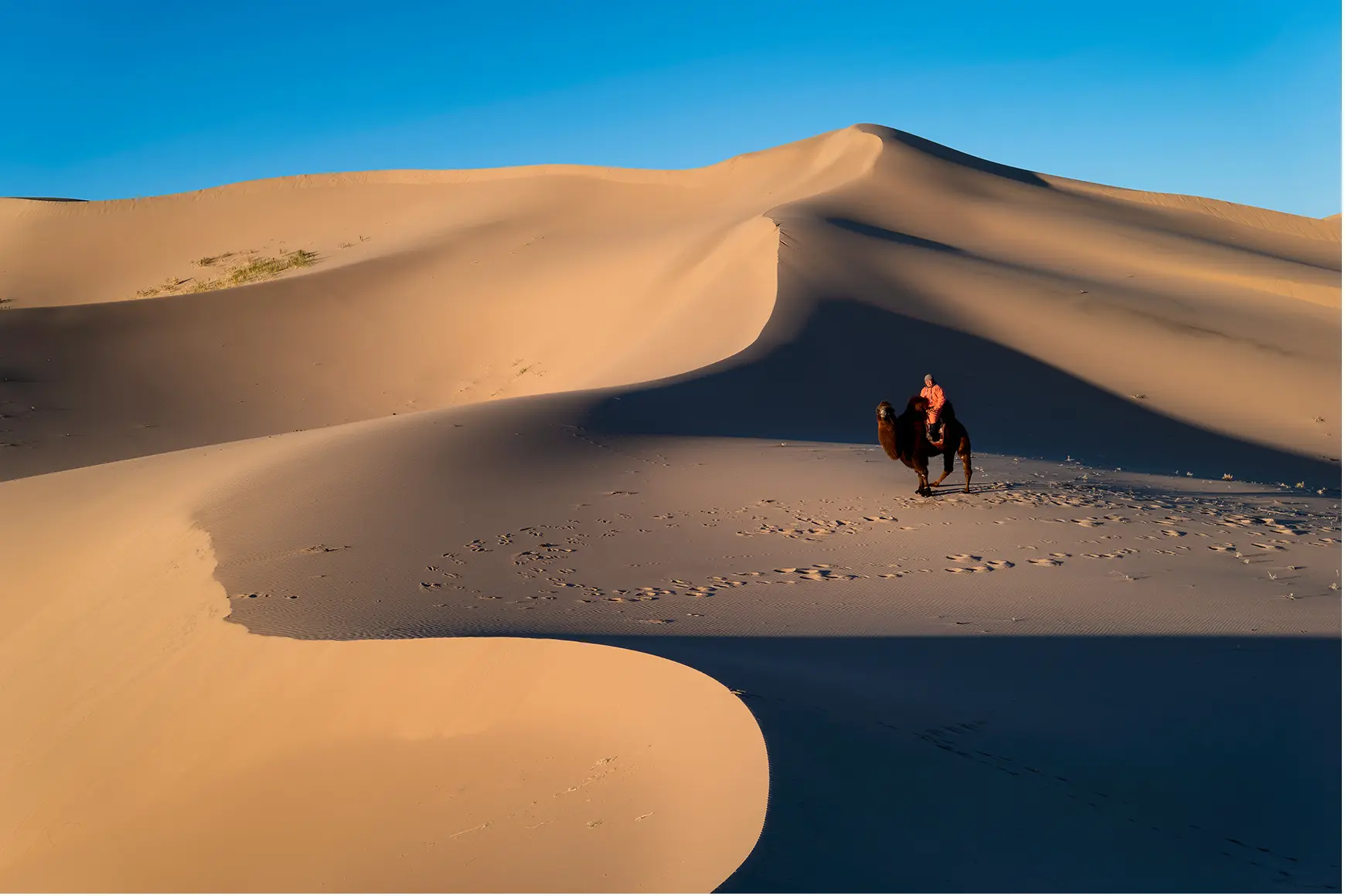 Apisak Kanjanapusit on a camel in desert