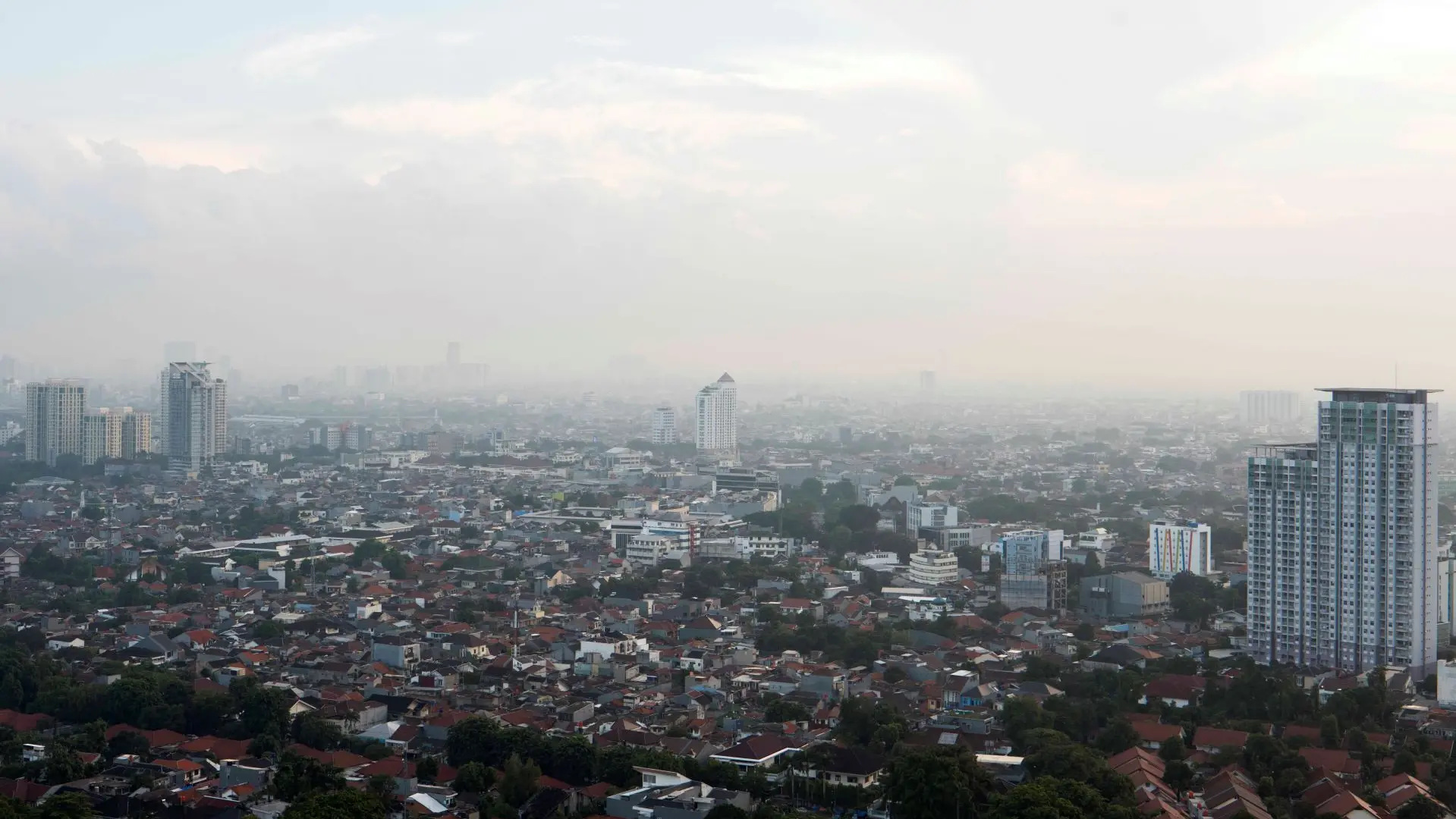 View of a foggy city with tower blocks.