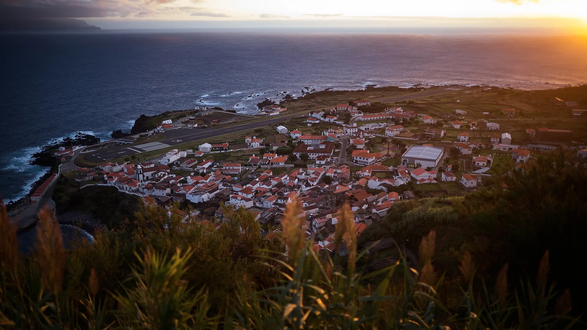 A small coastal village surrounded by green vegetation at sunset.