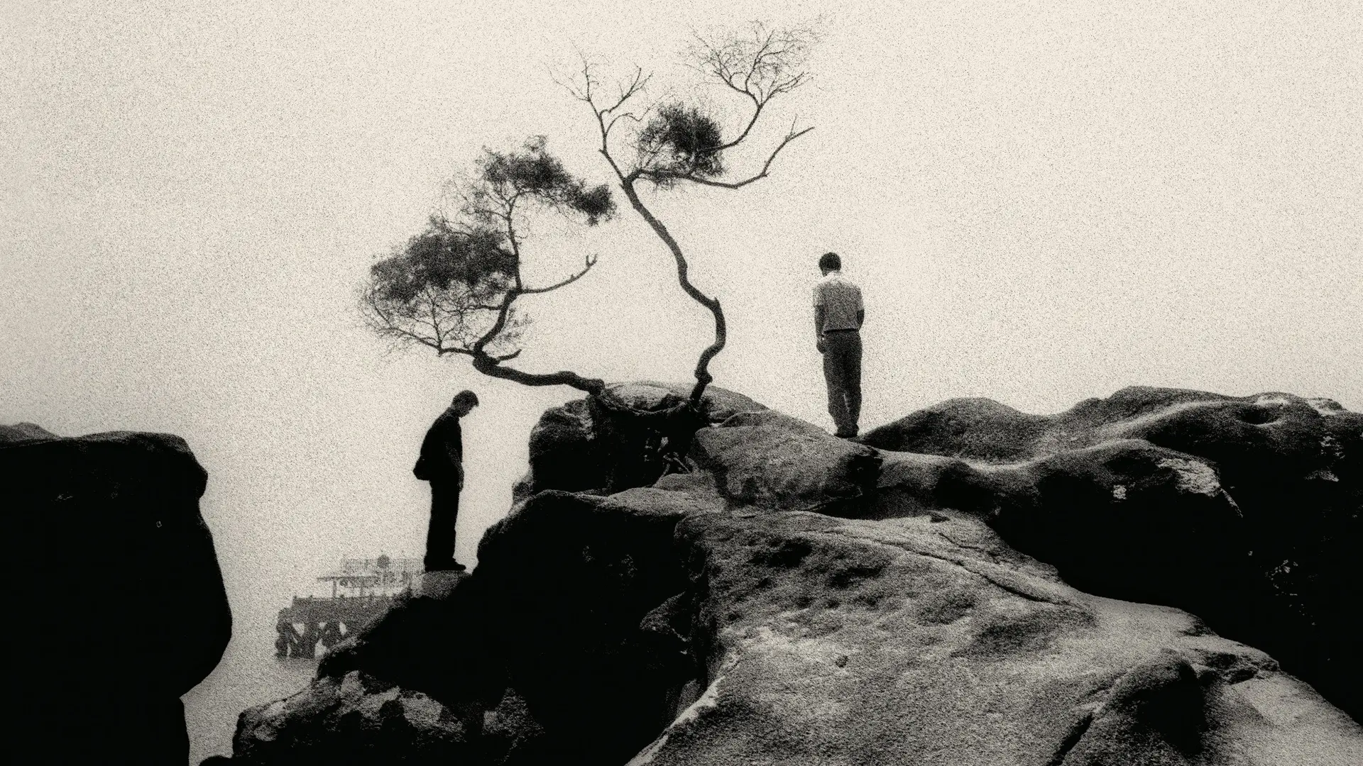 Two people are standing on large rocks next to a bare tree