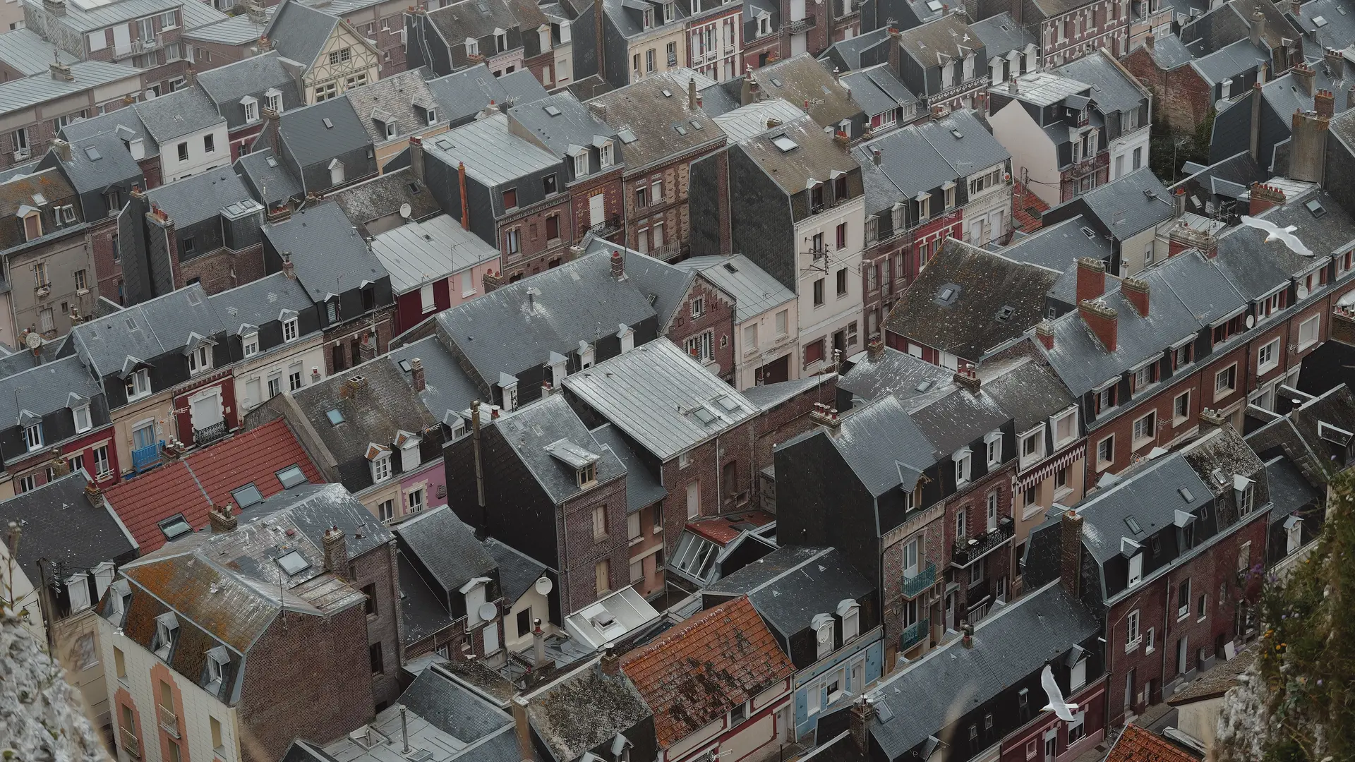 city from a bird's eye view
