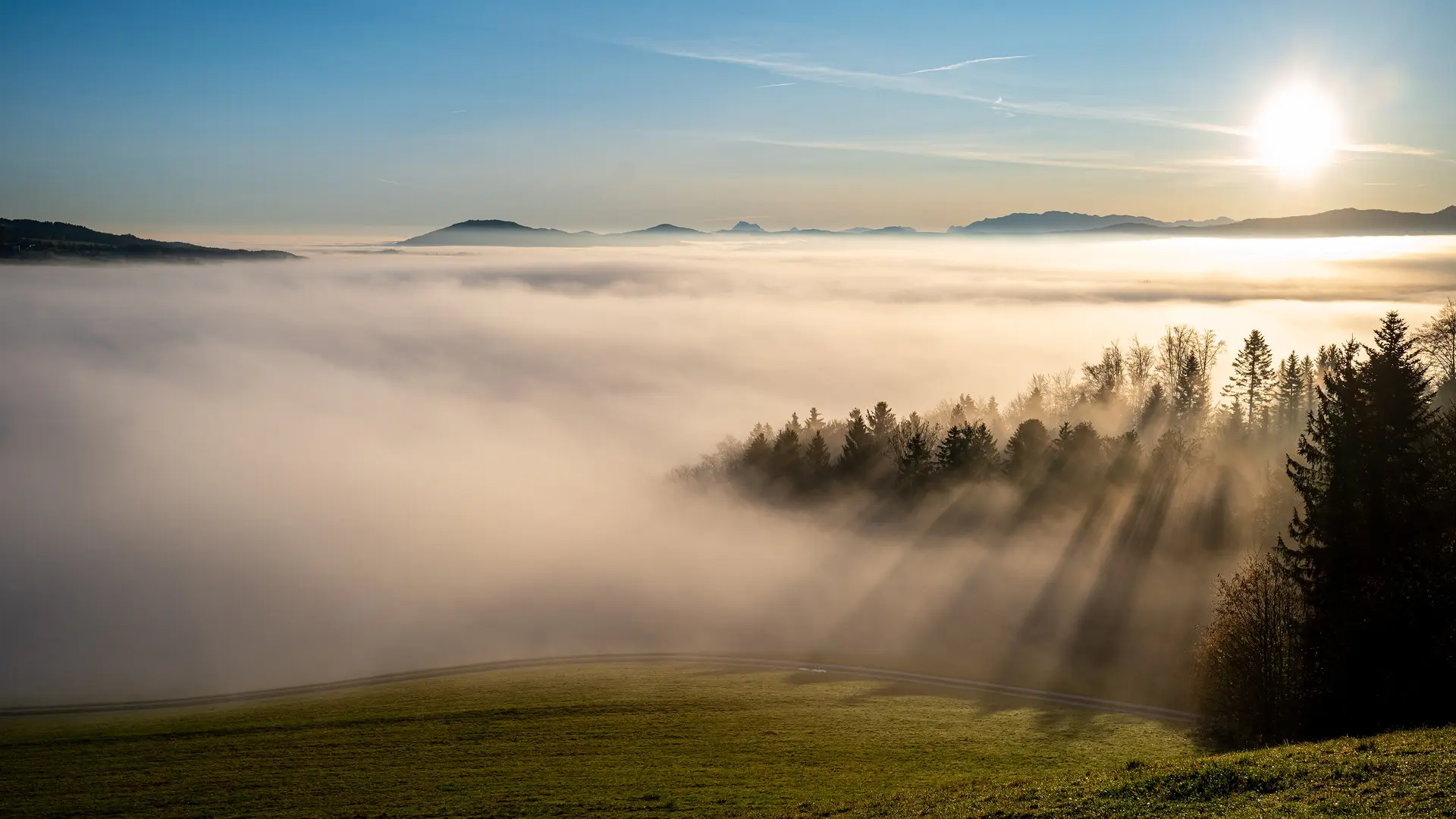 Forest and mountains in the fog