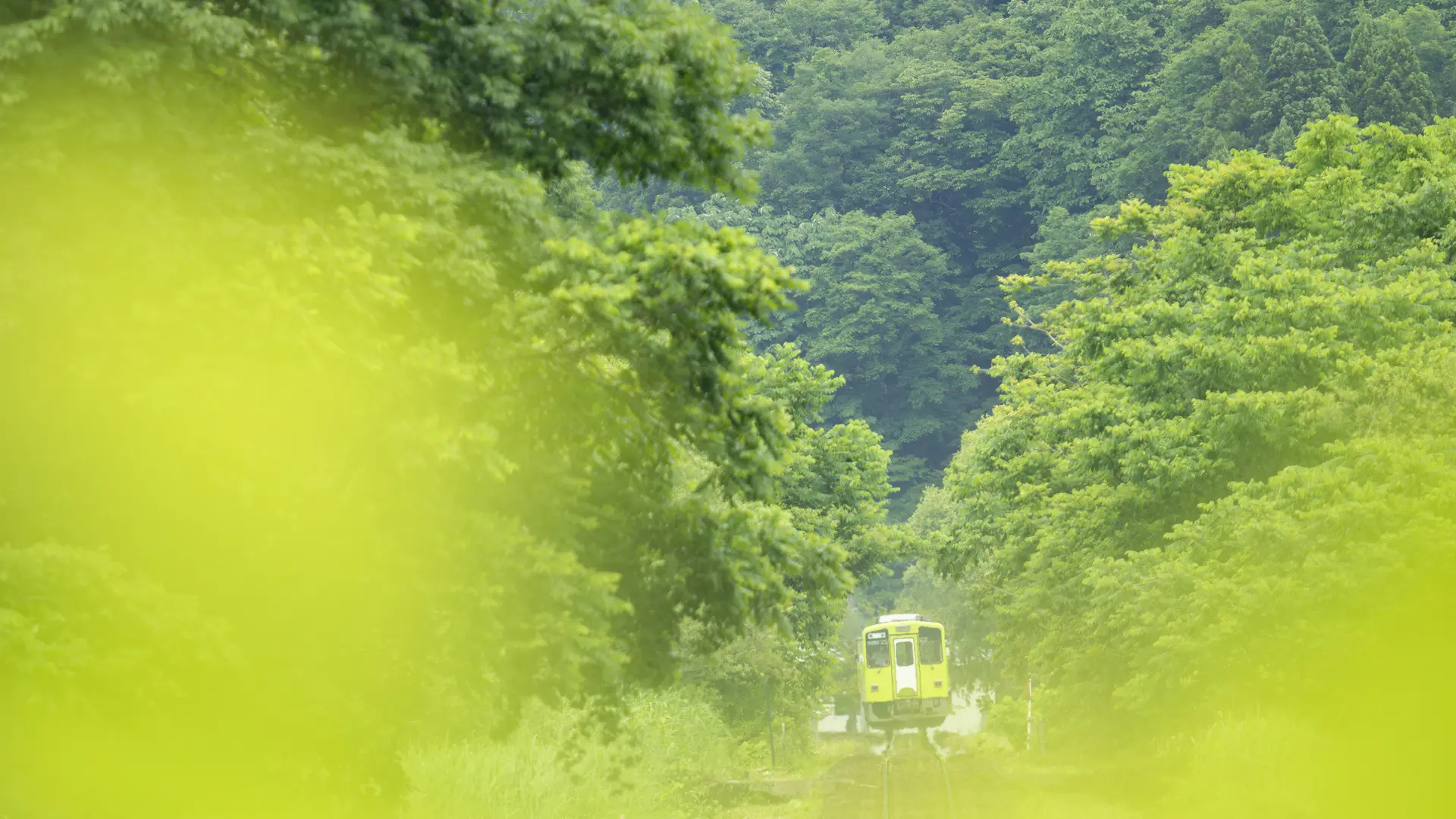 Seiya Nakai Photo Exhibition Held in Kyoto