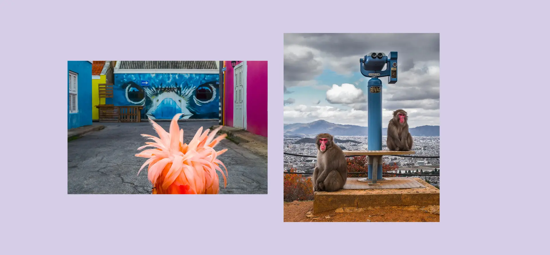 2 pictures from Jasper Doest