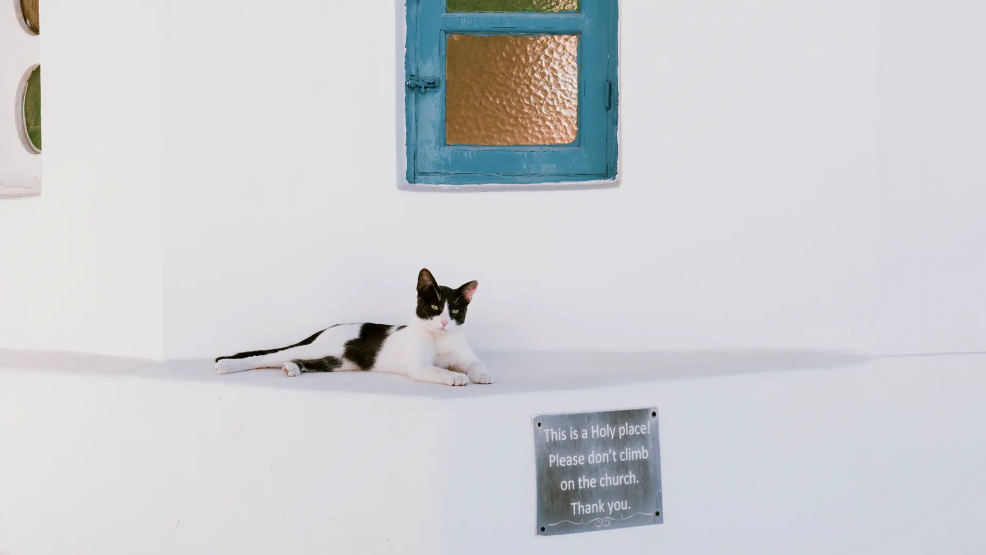 Image of a cat sitting on a church with white walls