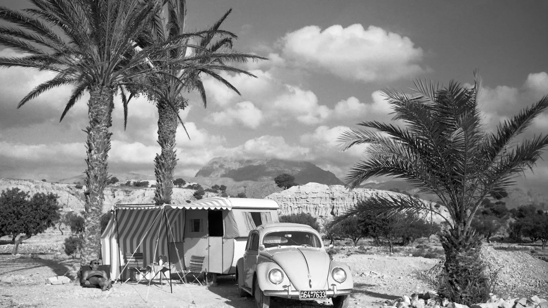 A caravan under palm trees. 