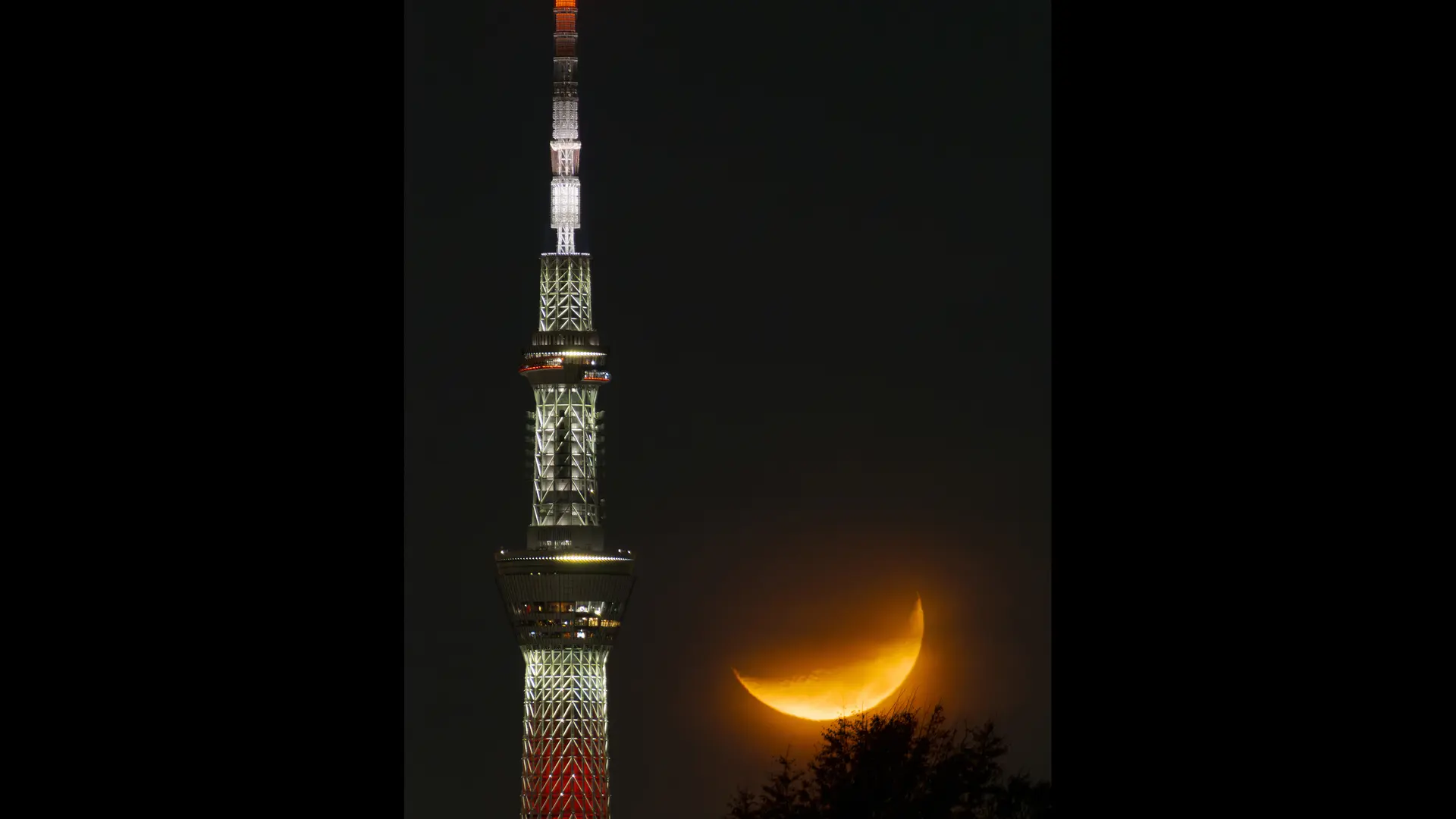 Photo taken by Akihiko Nagumo