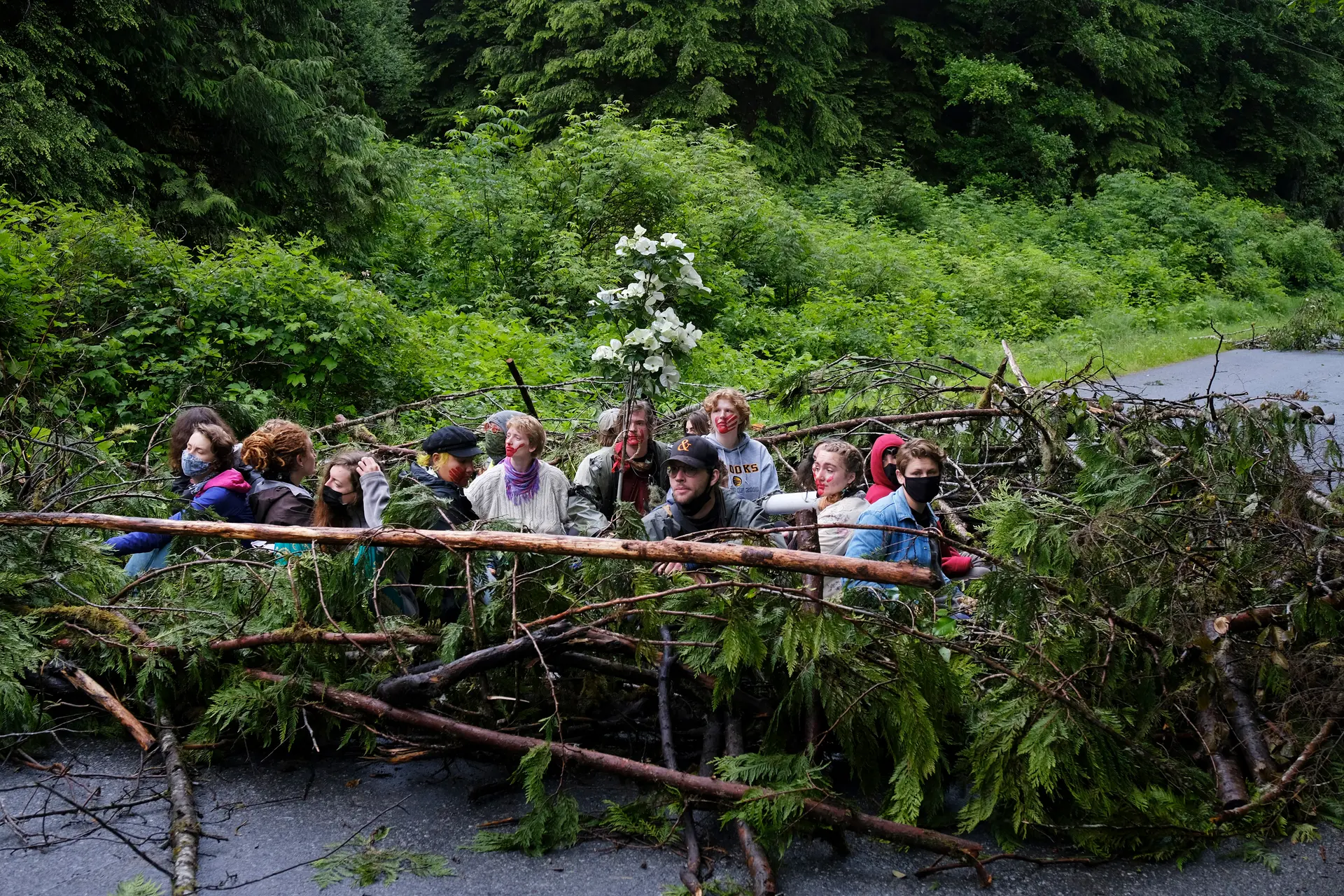 Fairy Creek protests where activists came together to protect the old growth forests of Vancouver Island