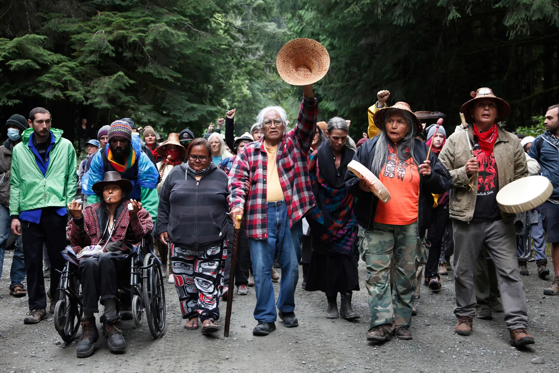 Fairy Creek protests where activists came together to protect the old growth forests of Vancouver Island