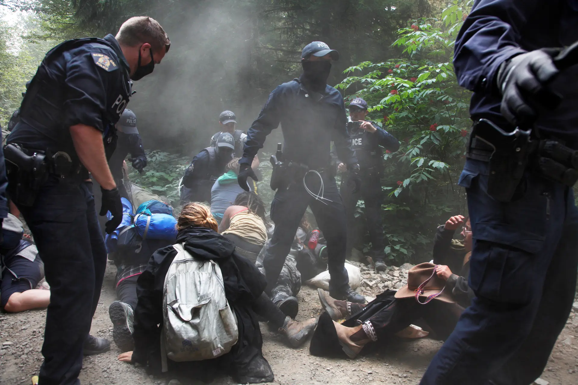 Fairy Creek protests where activists came together to protect the old growth forests of Vancouver Island