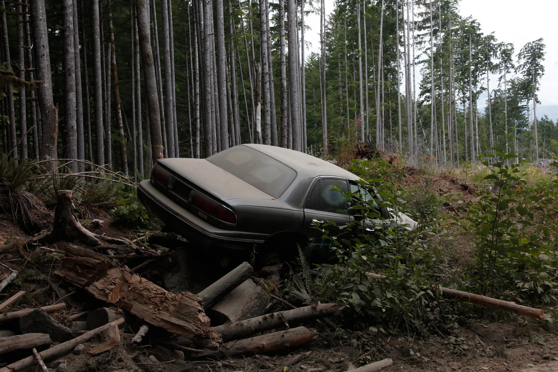 Old car parked in the forest on a pile of old branches and logs