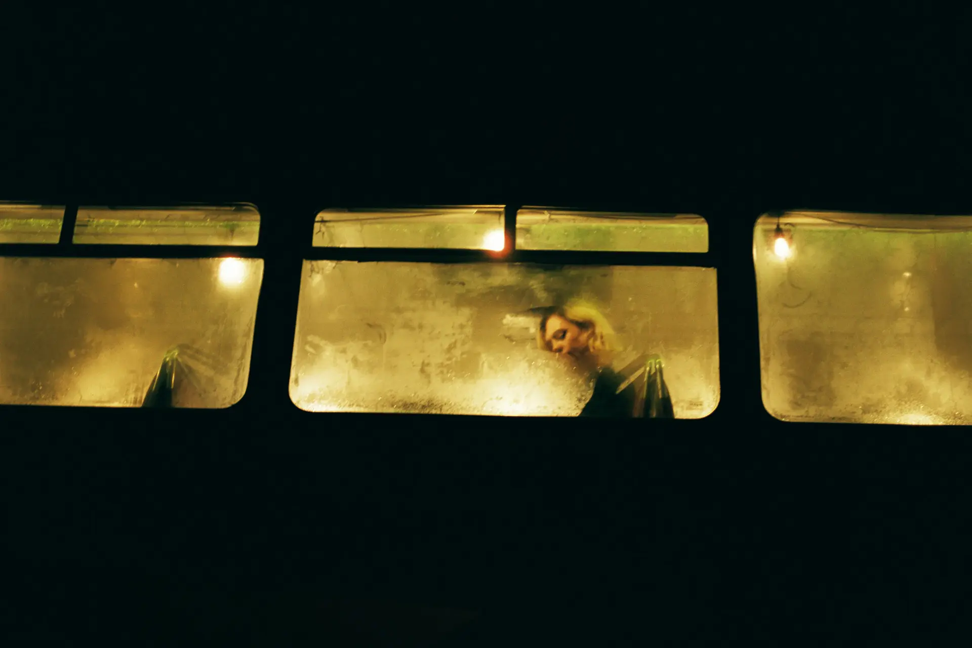 Woman in a Train