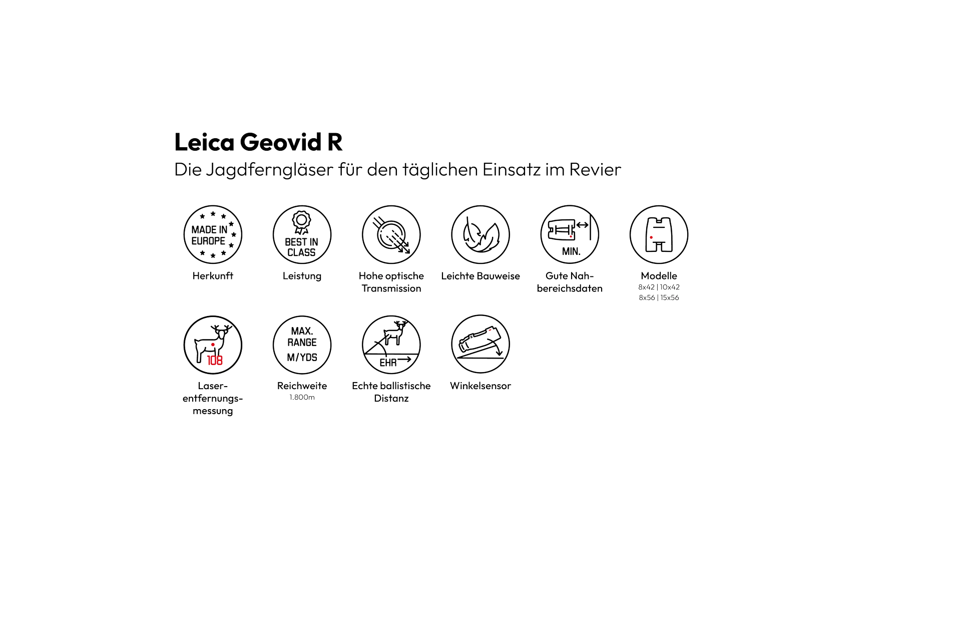 icons-GeovidR