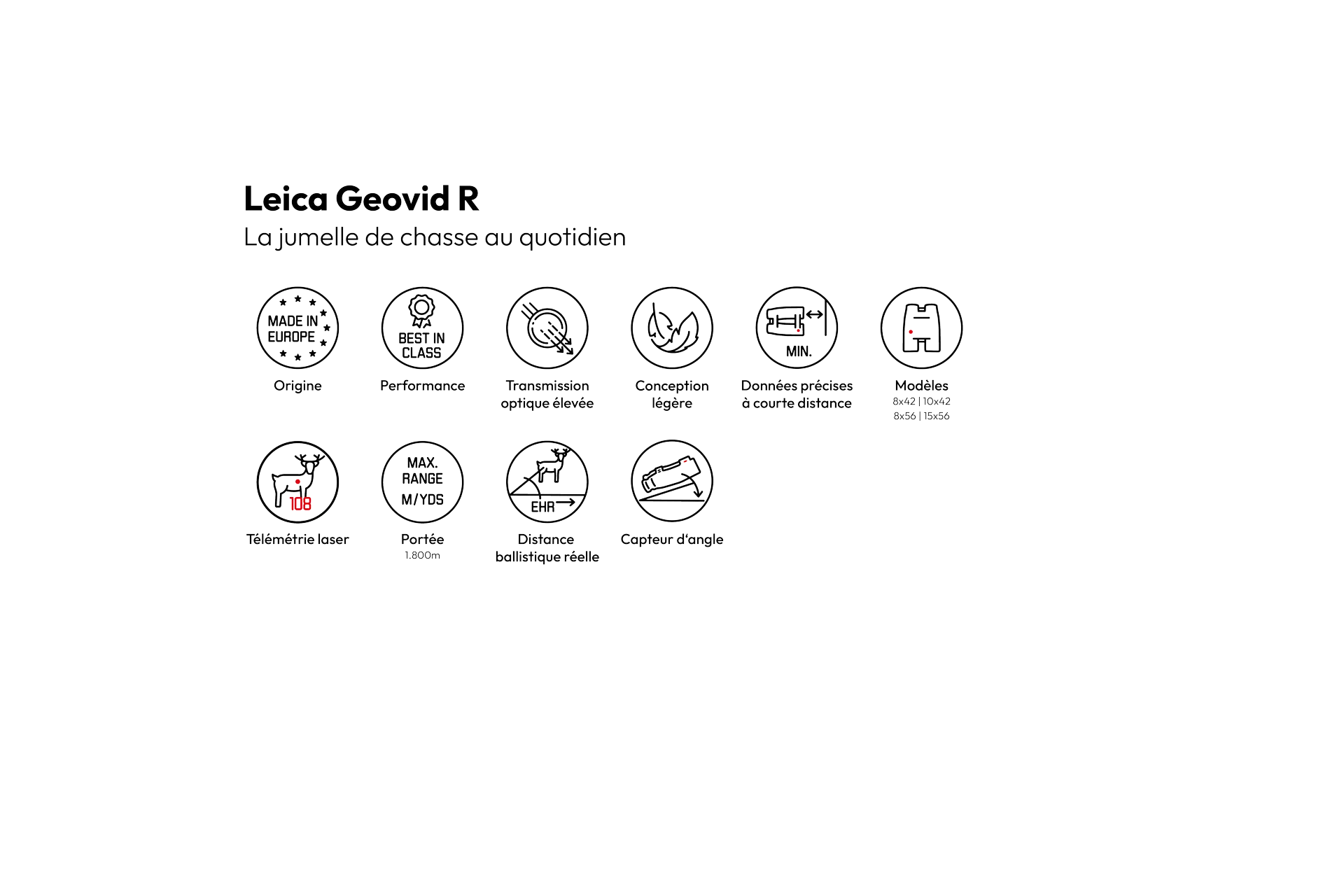 icons-GeovidR