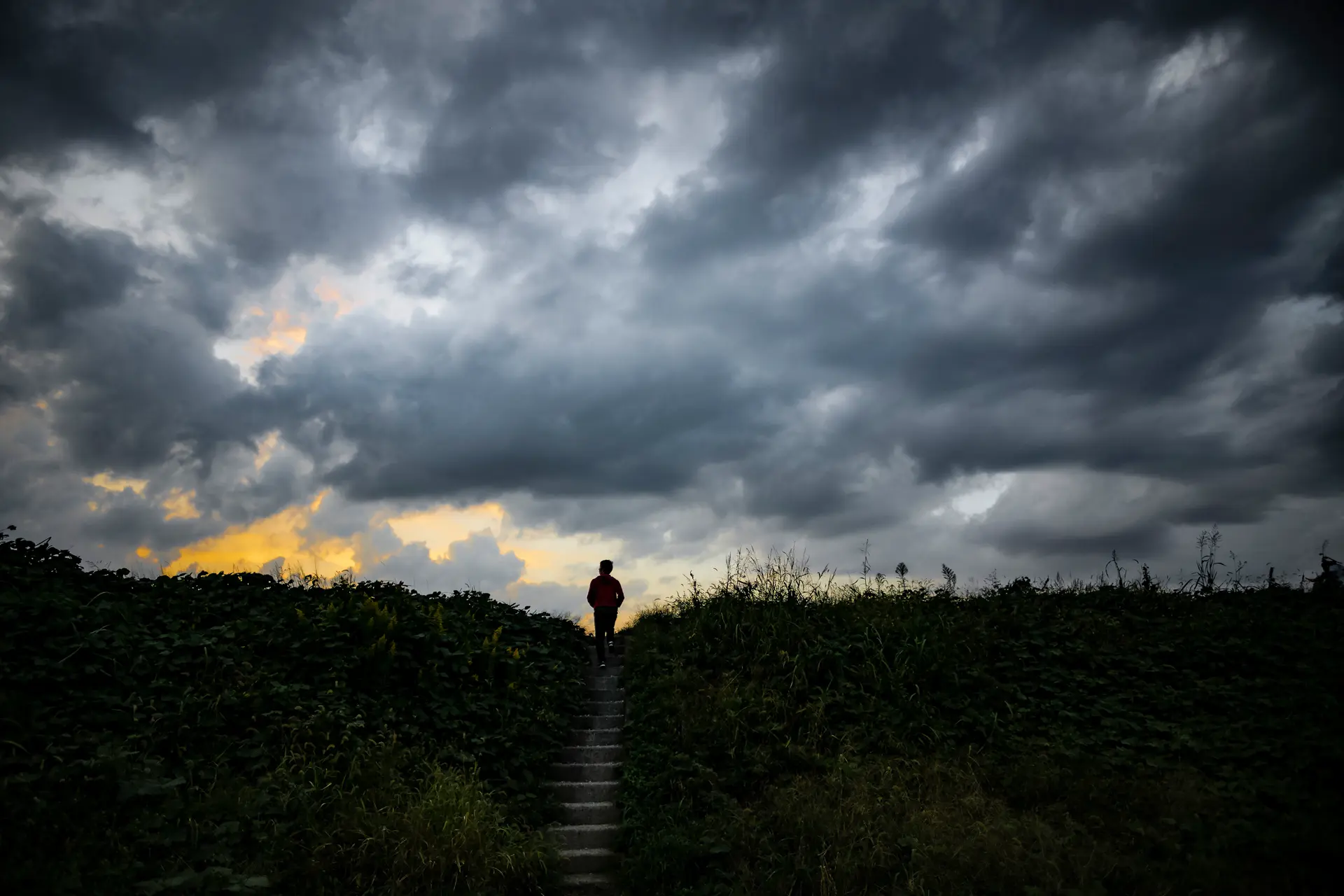 Field with cloudy sky and one person