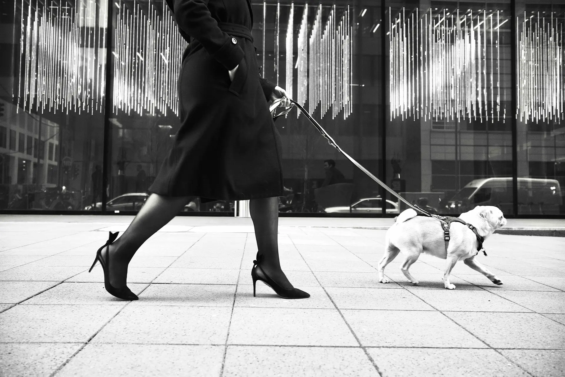 Black and white picture woman dressed in black walks with small white dog