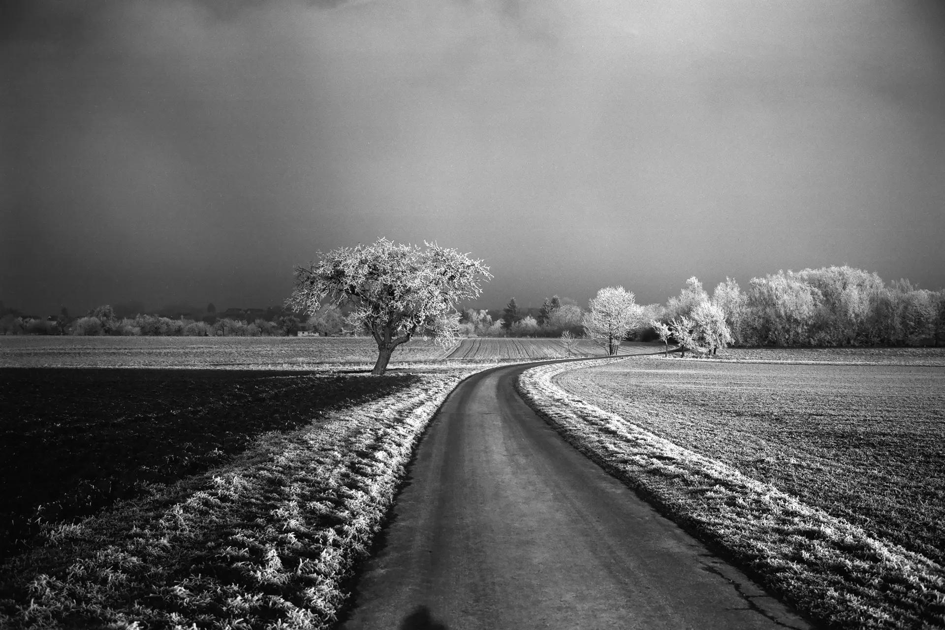 A street through a landscape.