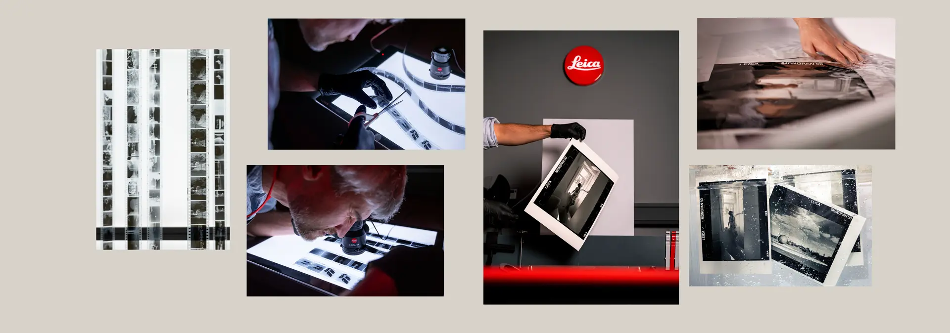 A collage of the different steps of film development.