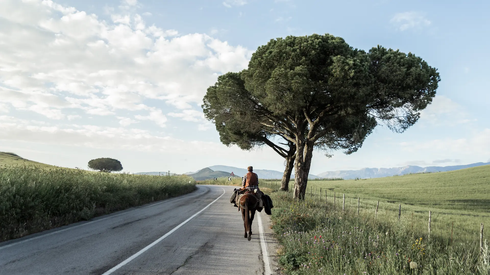 A man riding a horse down the street.