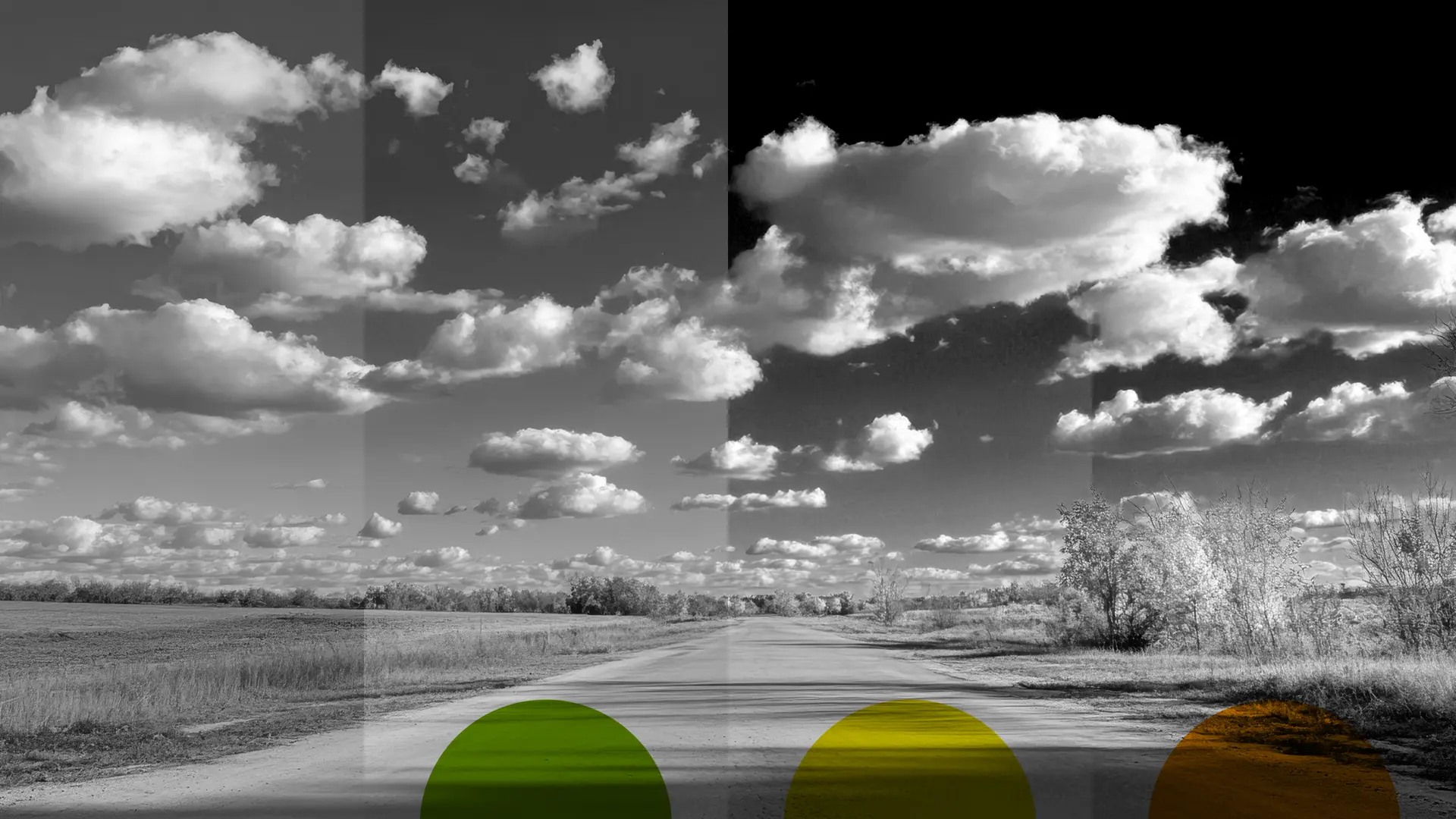 Leica Colour Filters comparison example.