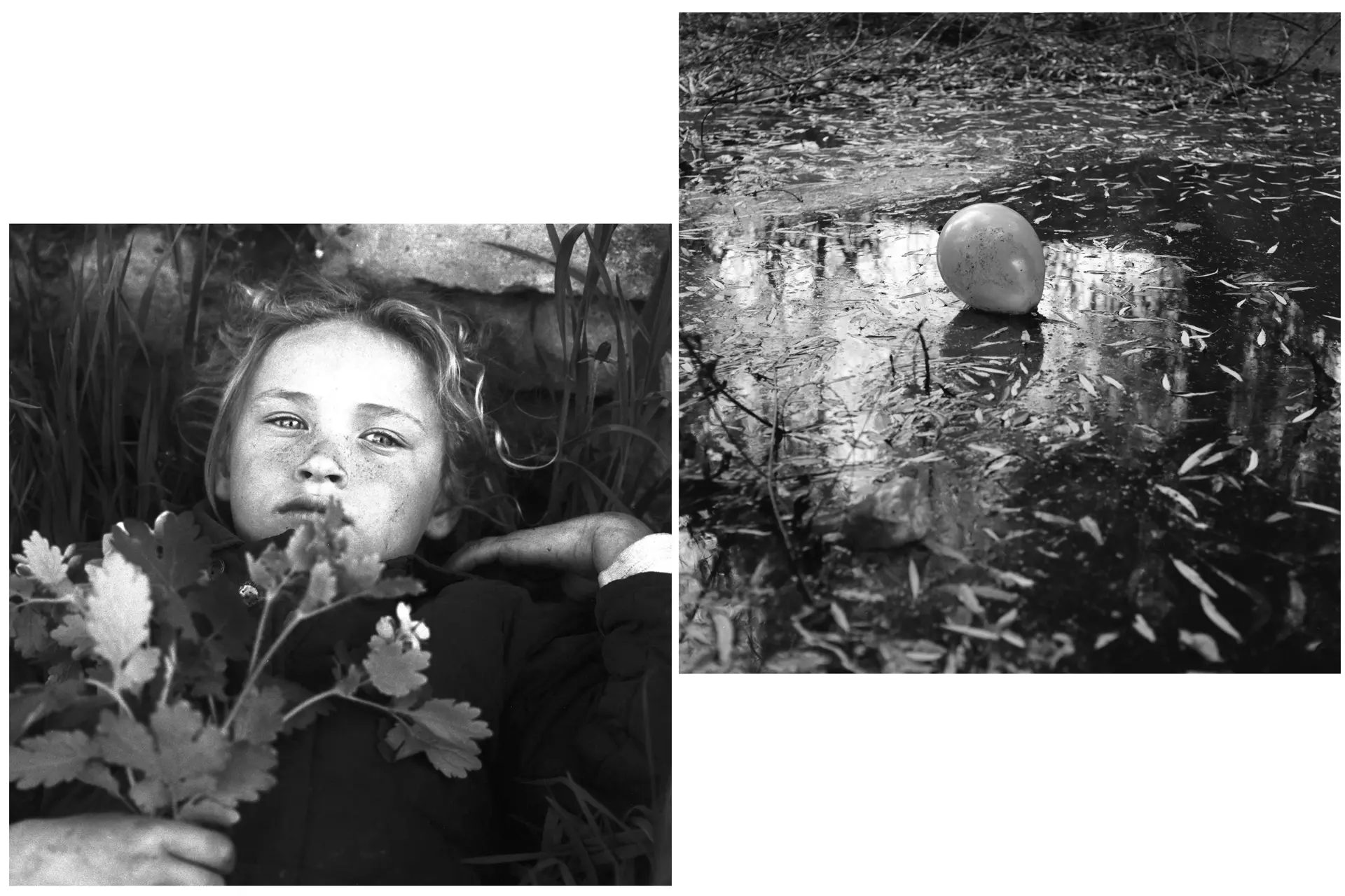 Exposition Leica Galerie Paris Maria Guțu