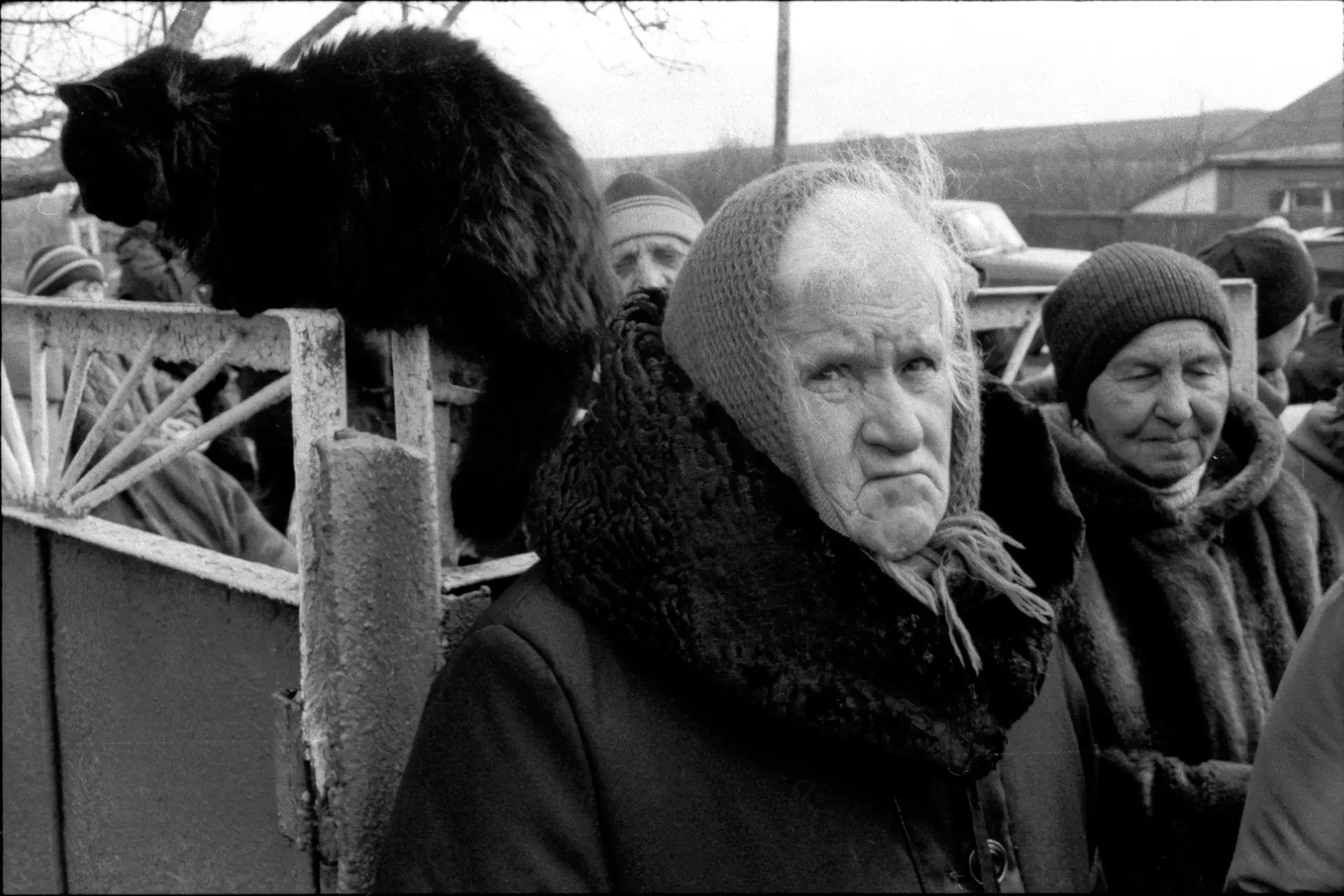 Two old women and a cat watching into the camera.