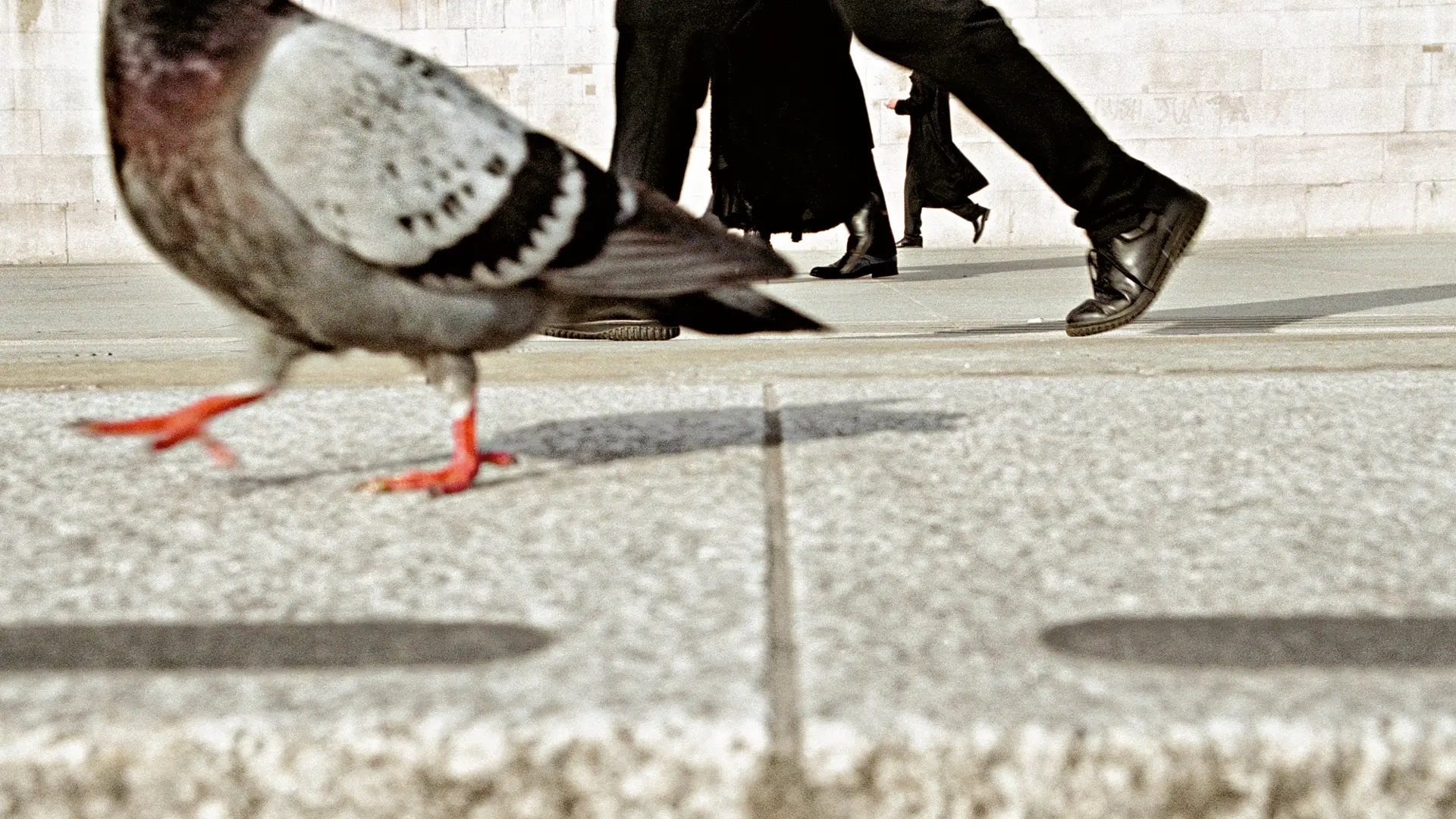 Workshop „London Street Photography“ - Matt Stuart, Leica Akademie UK