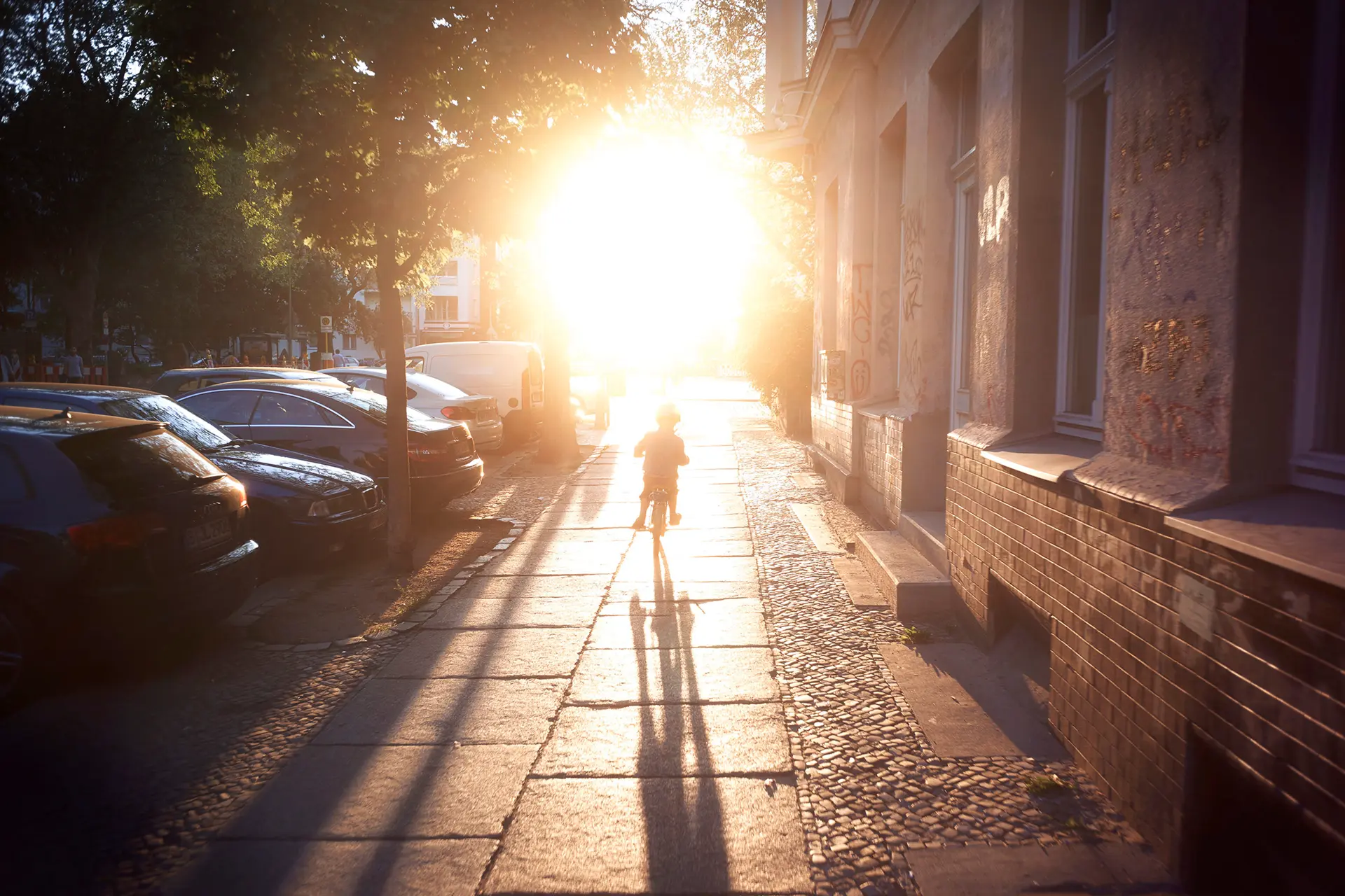A child on a bicycle rides towards the sun.