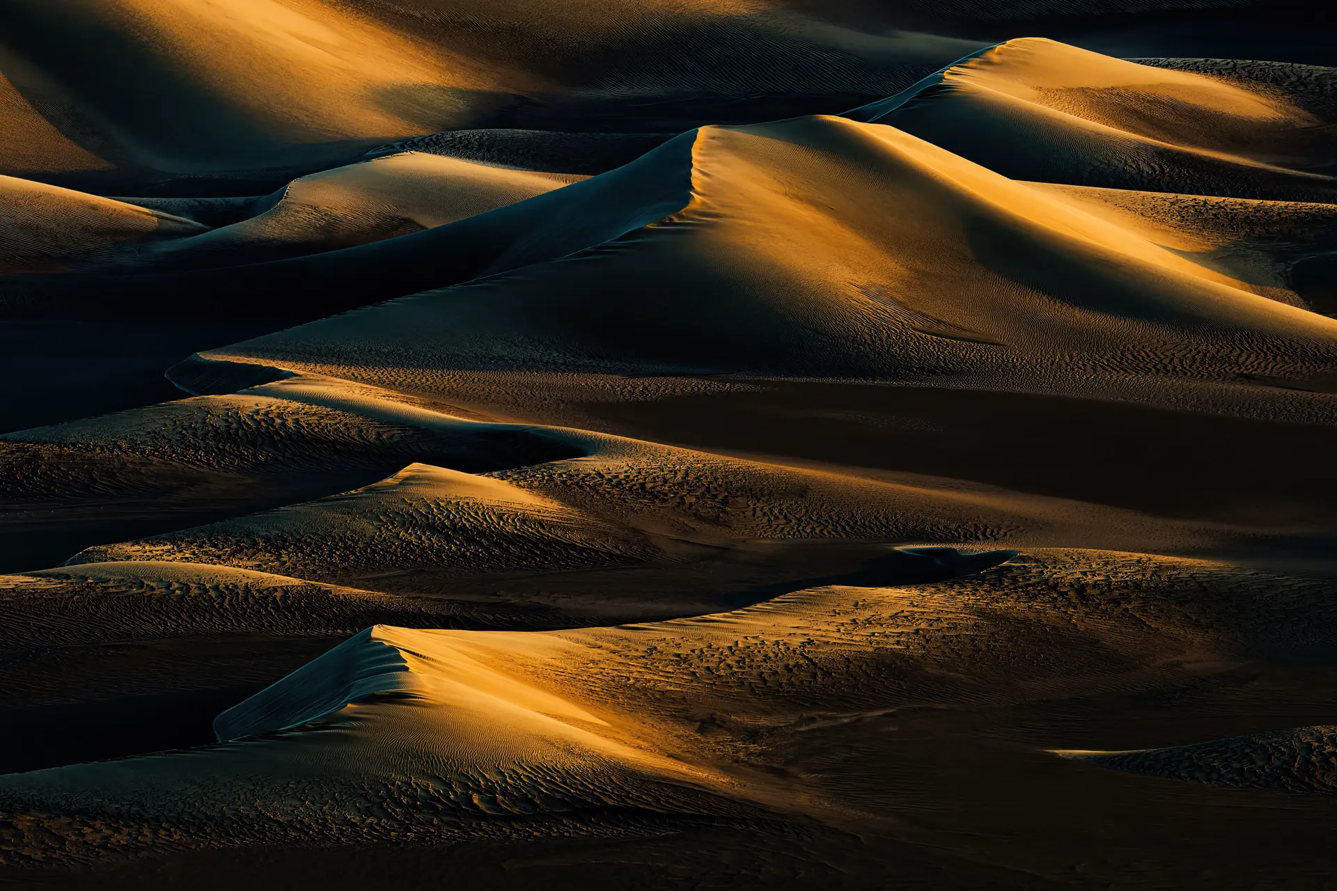 Sand dunes in an evening sun