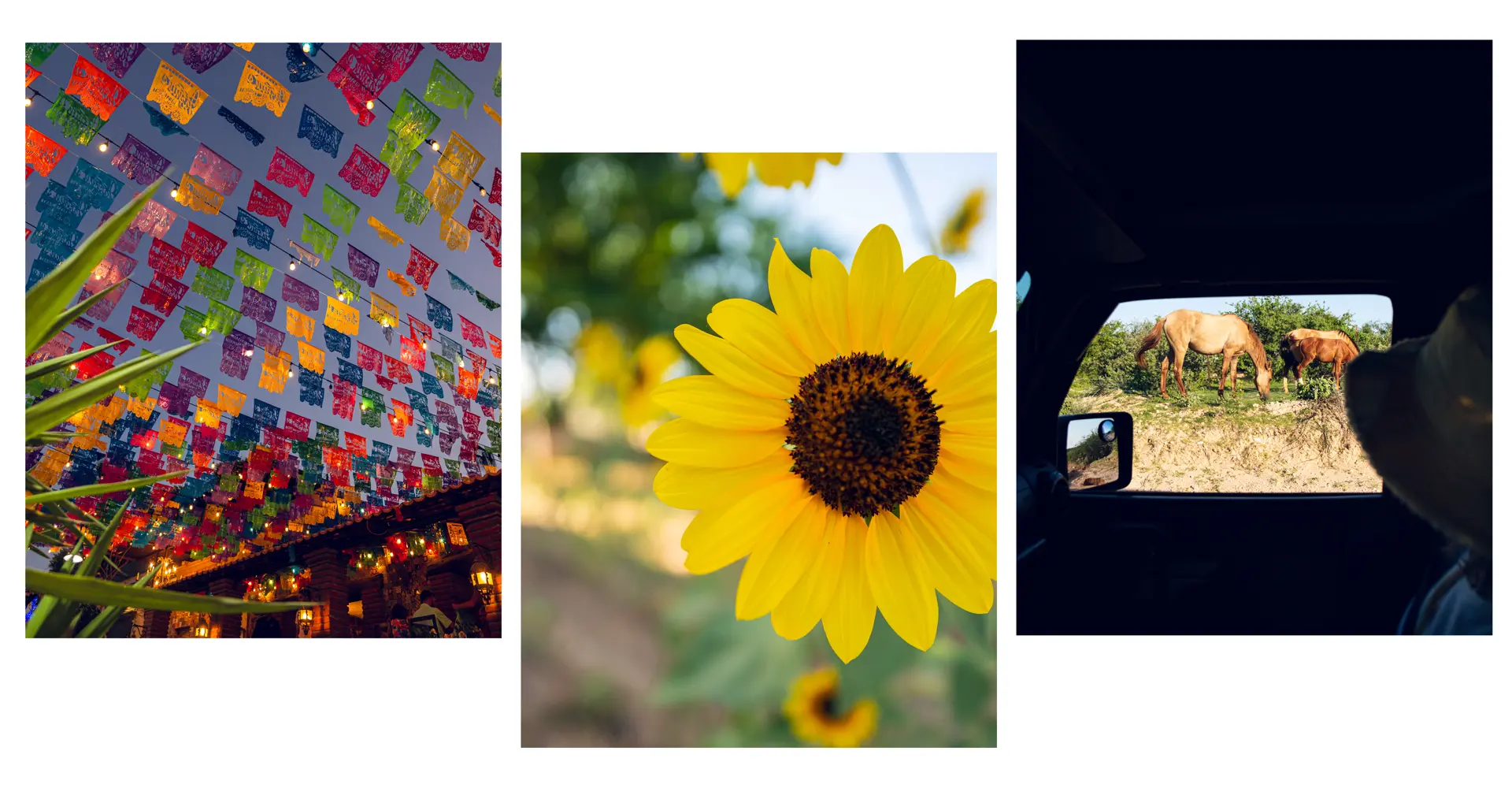 colourful pictures
