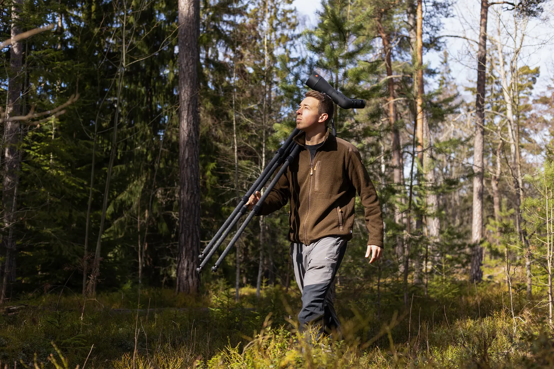 A wildlife filmmaker carrying a Leica Televid spotting scope on a tripod while walking through the forest.