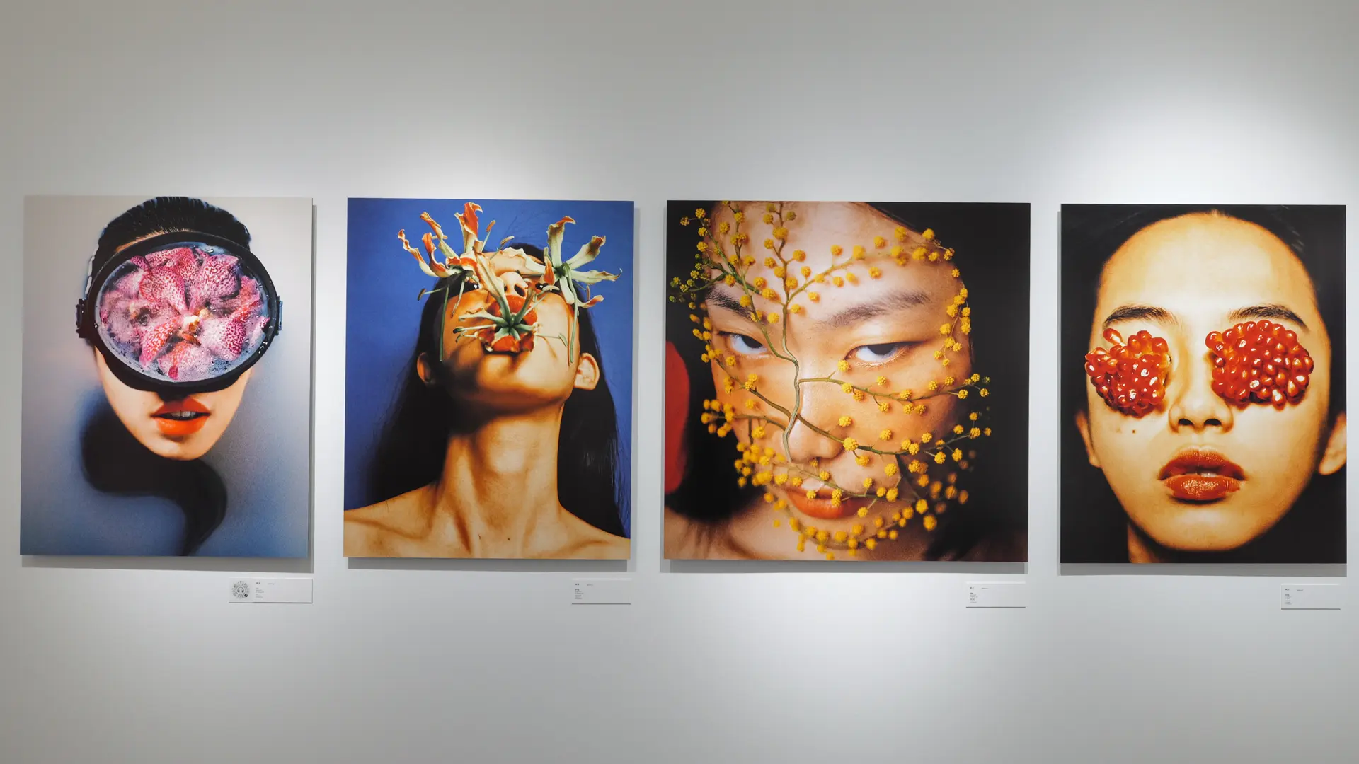 Photo Exhibition