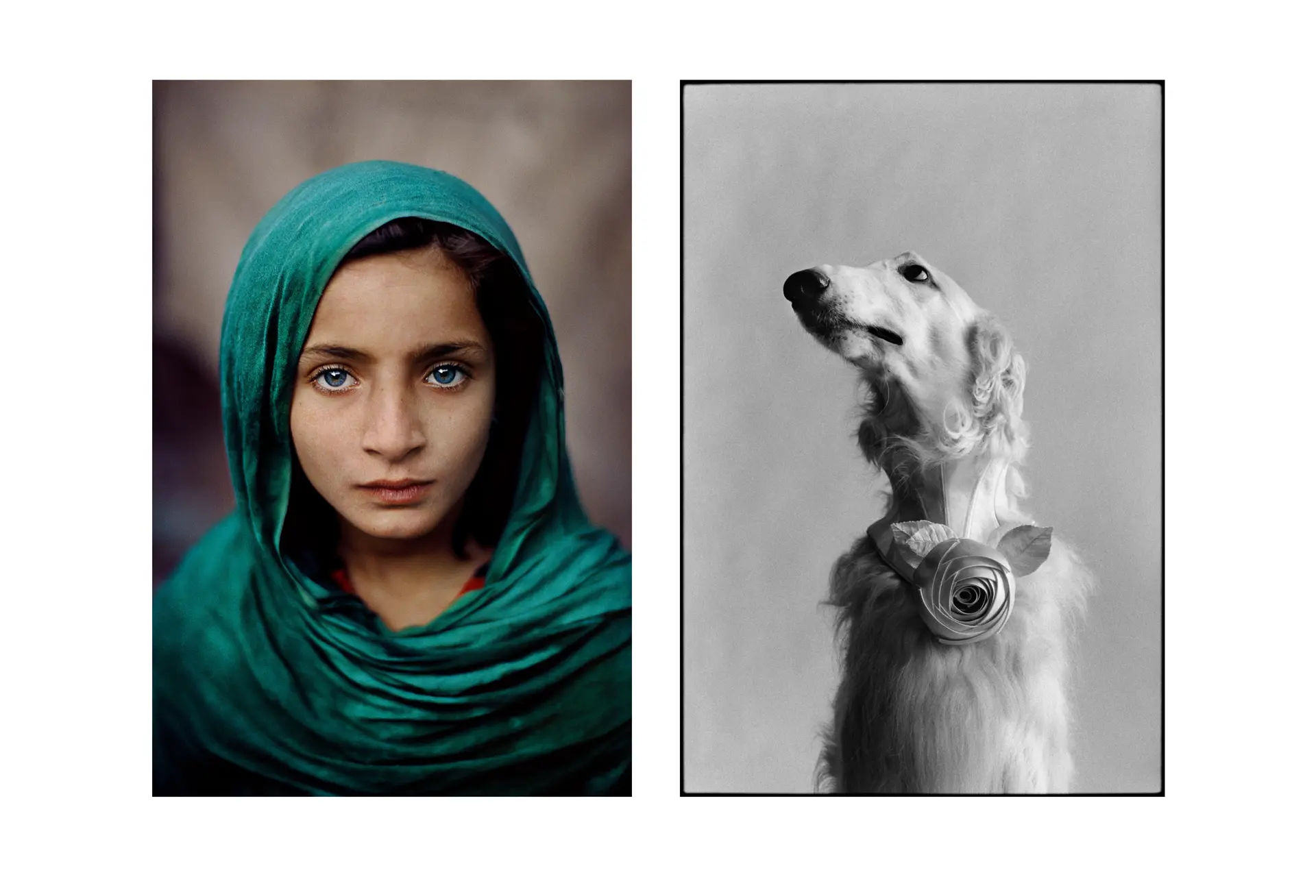 Girl with a green cape and a dog