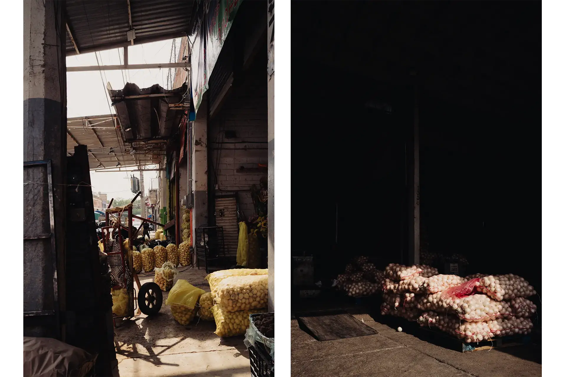 Images of garlic at the flower market