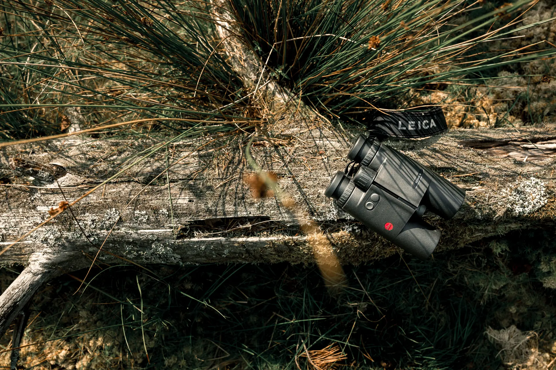 Leica Geovid R is lying on a tree