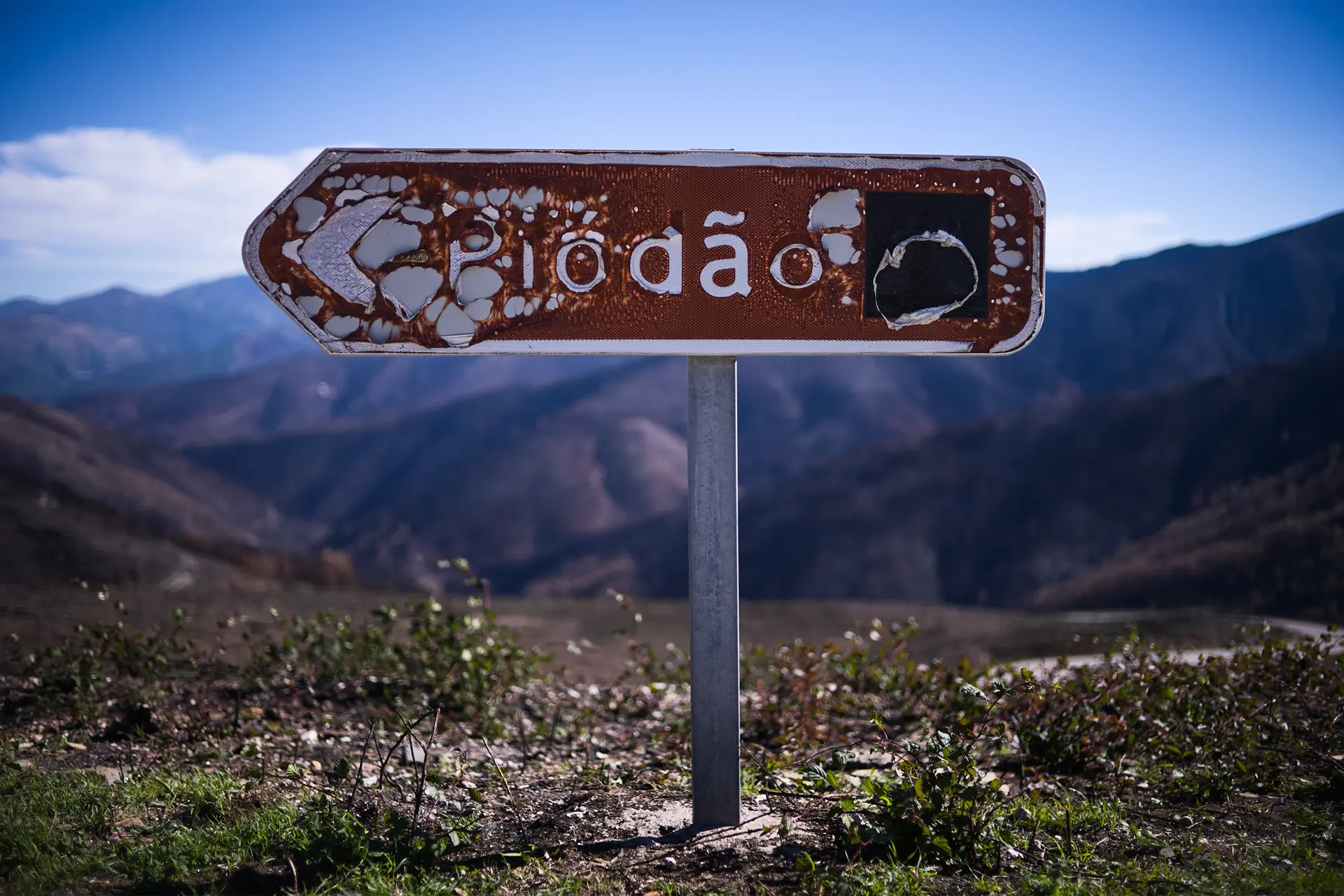 Portuguese Forest signal burned