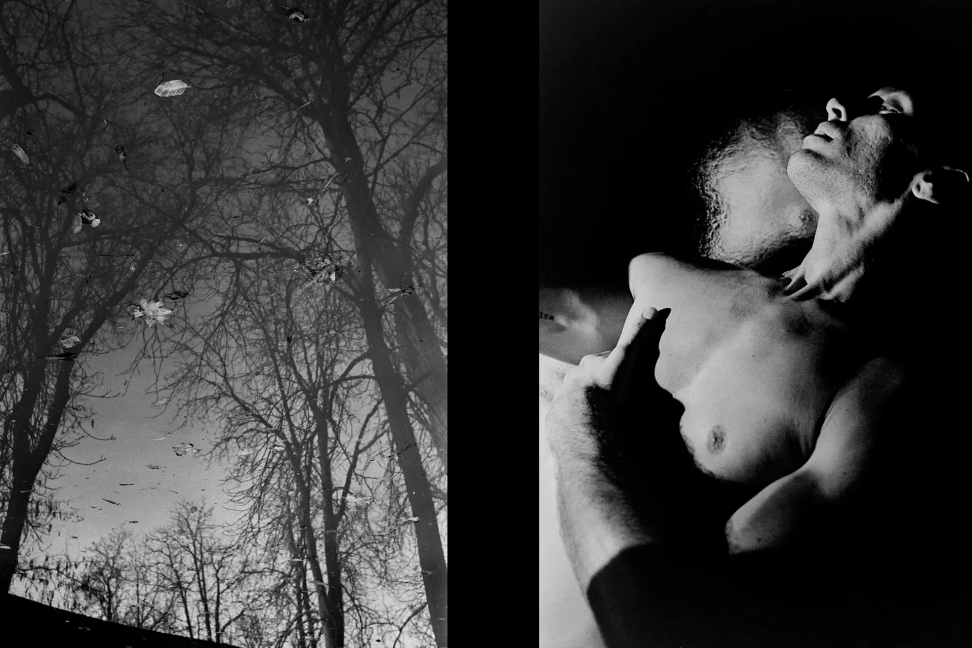 Naturaleza y bailarín