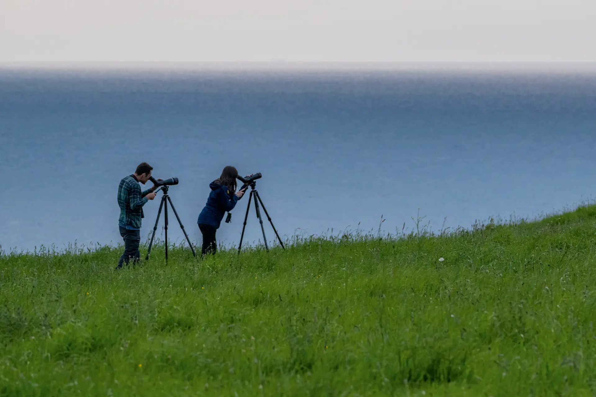 Two people looking through their Leica Televid spotting scopes