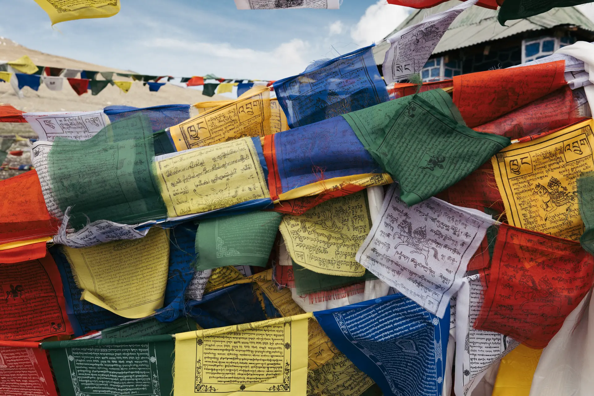 Levin Mundinger Select 1