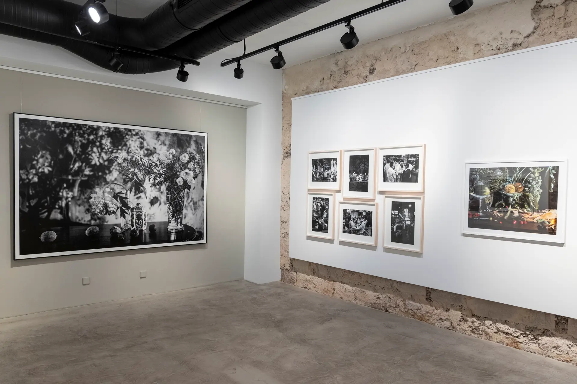 Exhibition of Vera Mercer at Leica Galerie Stuttgart