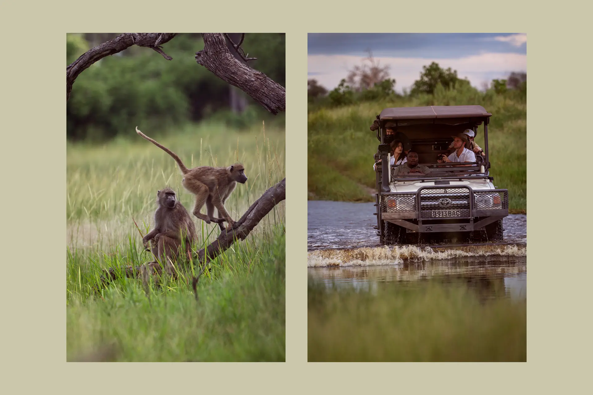 Impressions of a safari in Africa