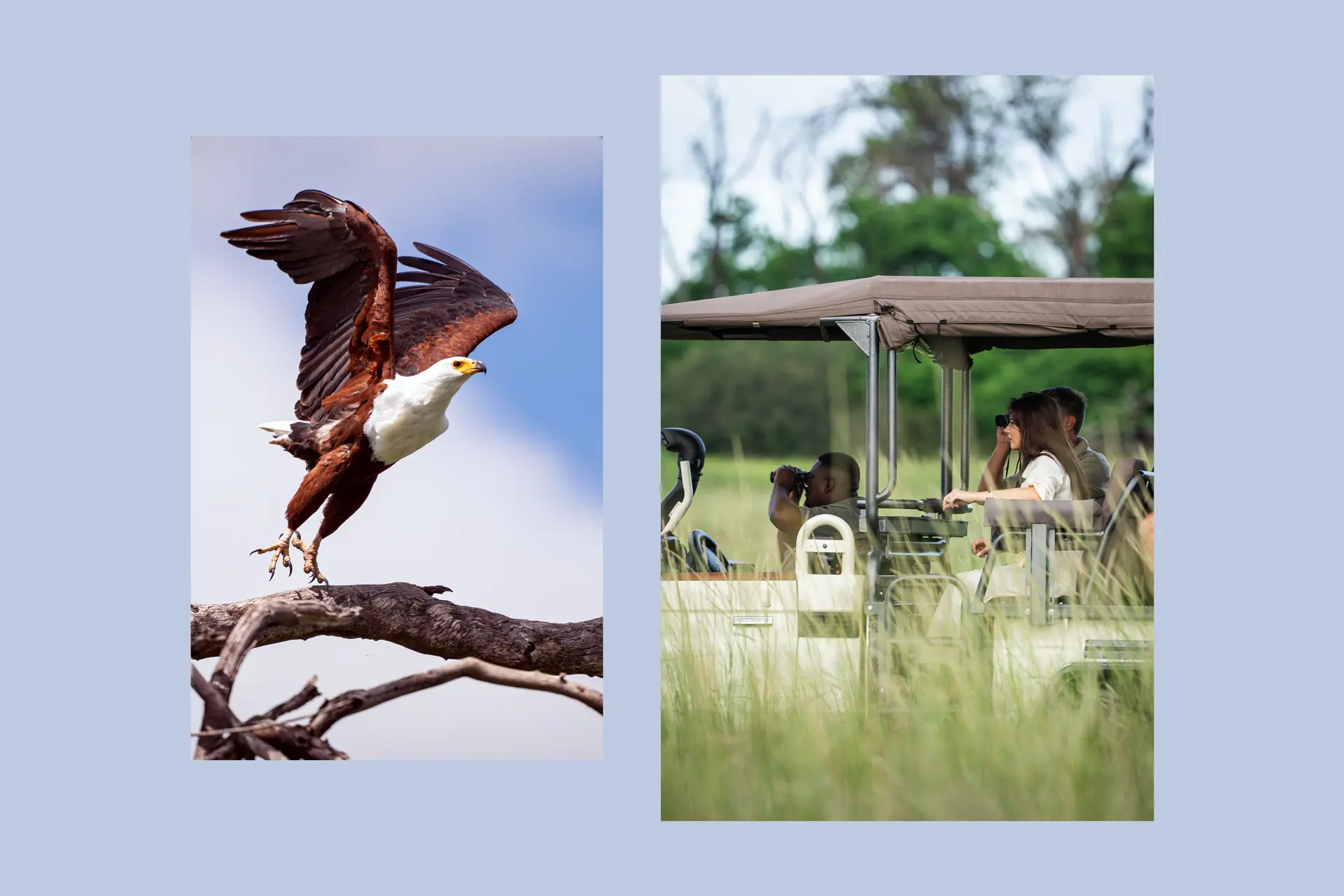 Impressions of a safari in Africa