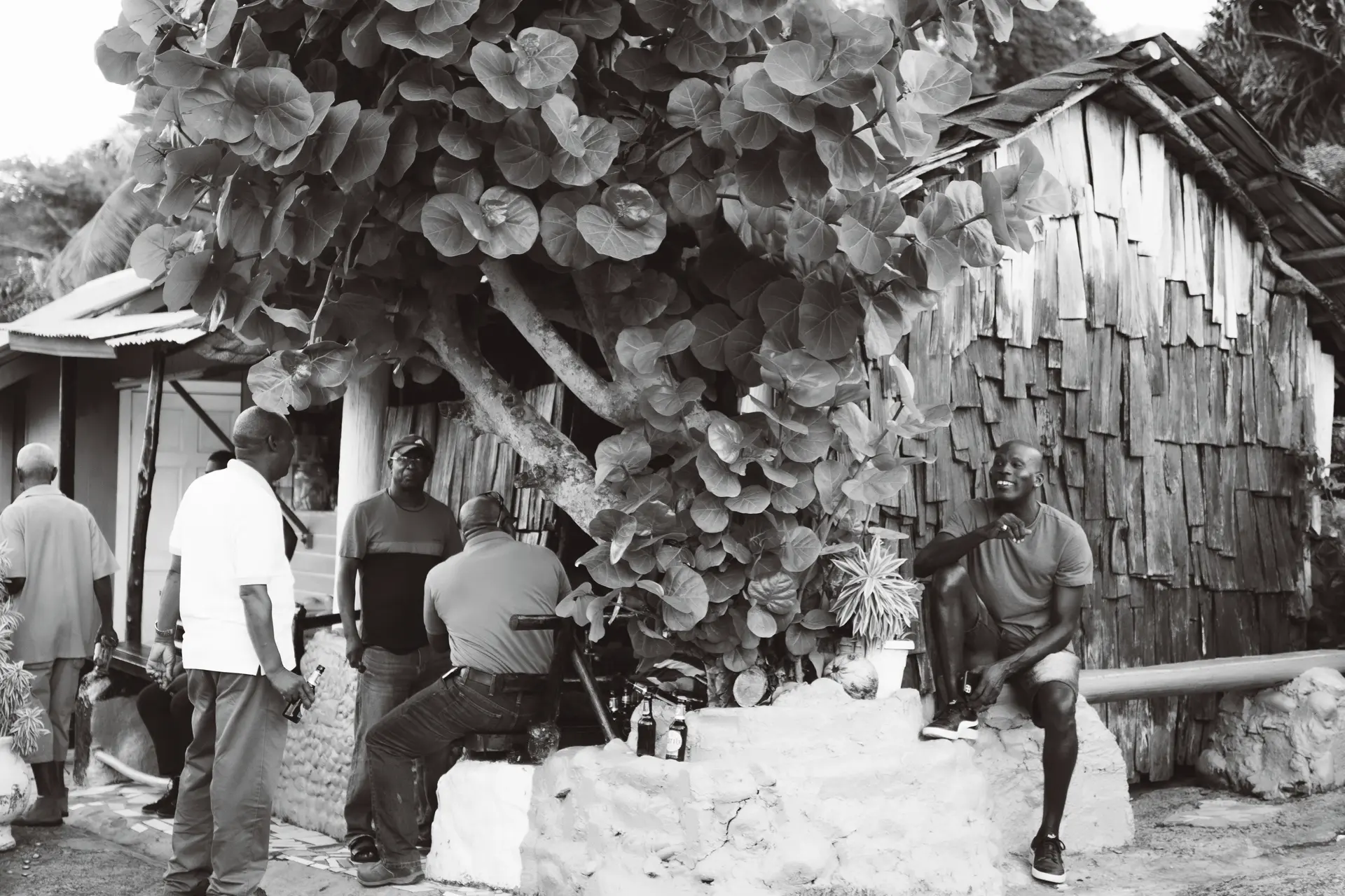 A gathering of men around a tree