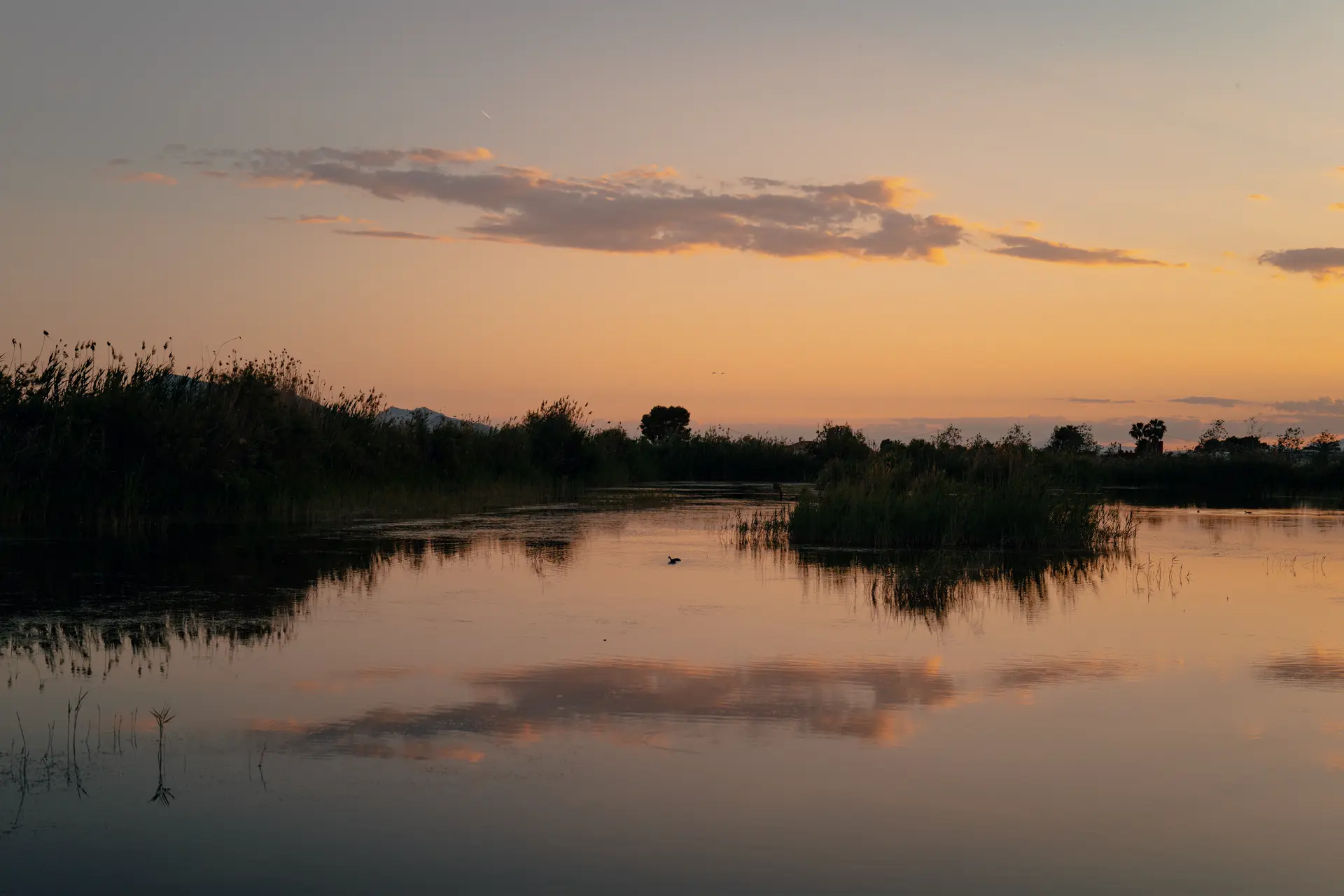 Paisaje de España