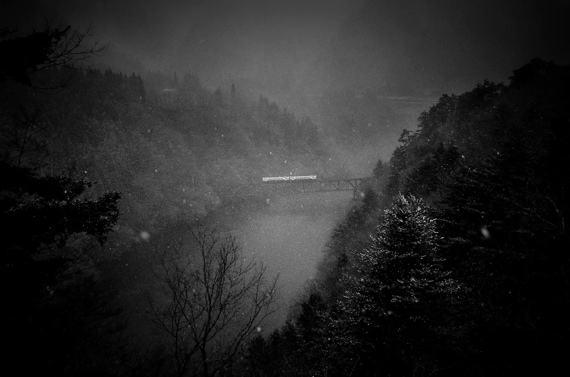 The Dreaming by Yasuhiro Ogawa